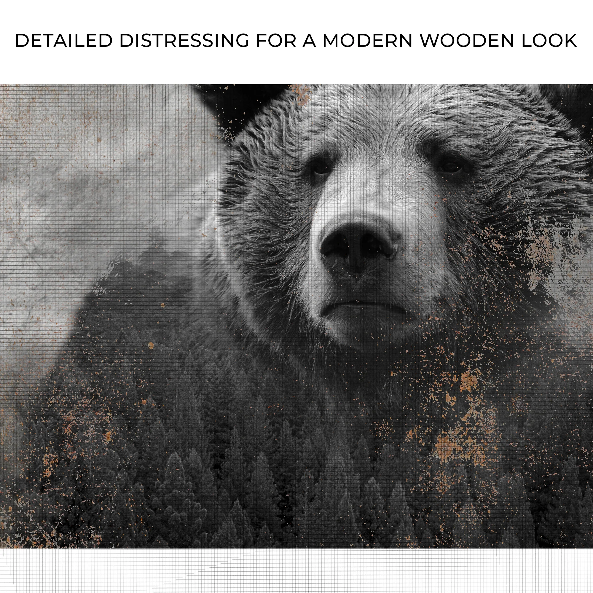 Animals Forest Bear Brown Canvas Wall Art - Image 4