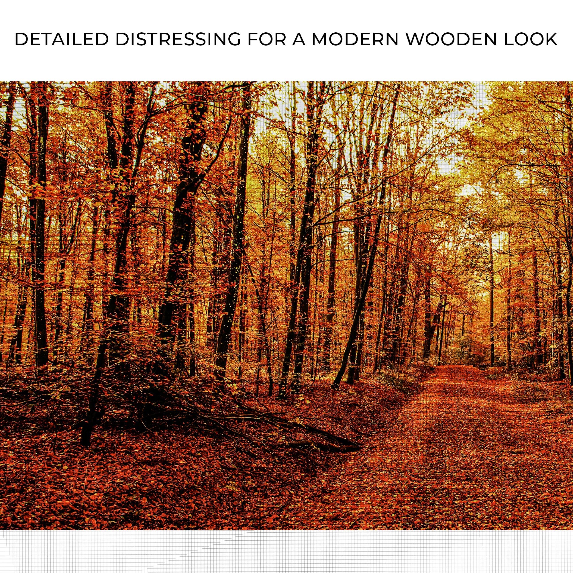 Autumn Tree Forest Canvas Wall Art - Image 4