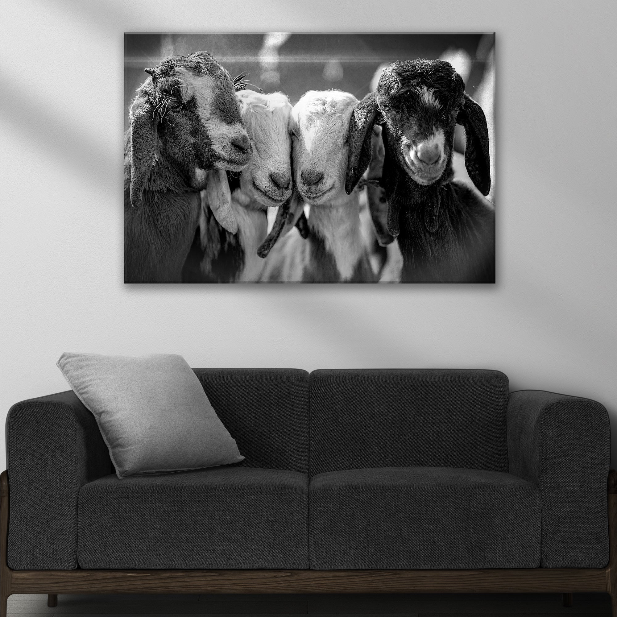 Black And White Baby Goats Canvas Wall Art - Image 3