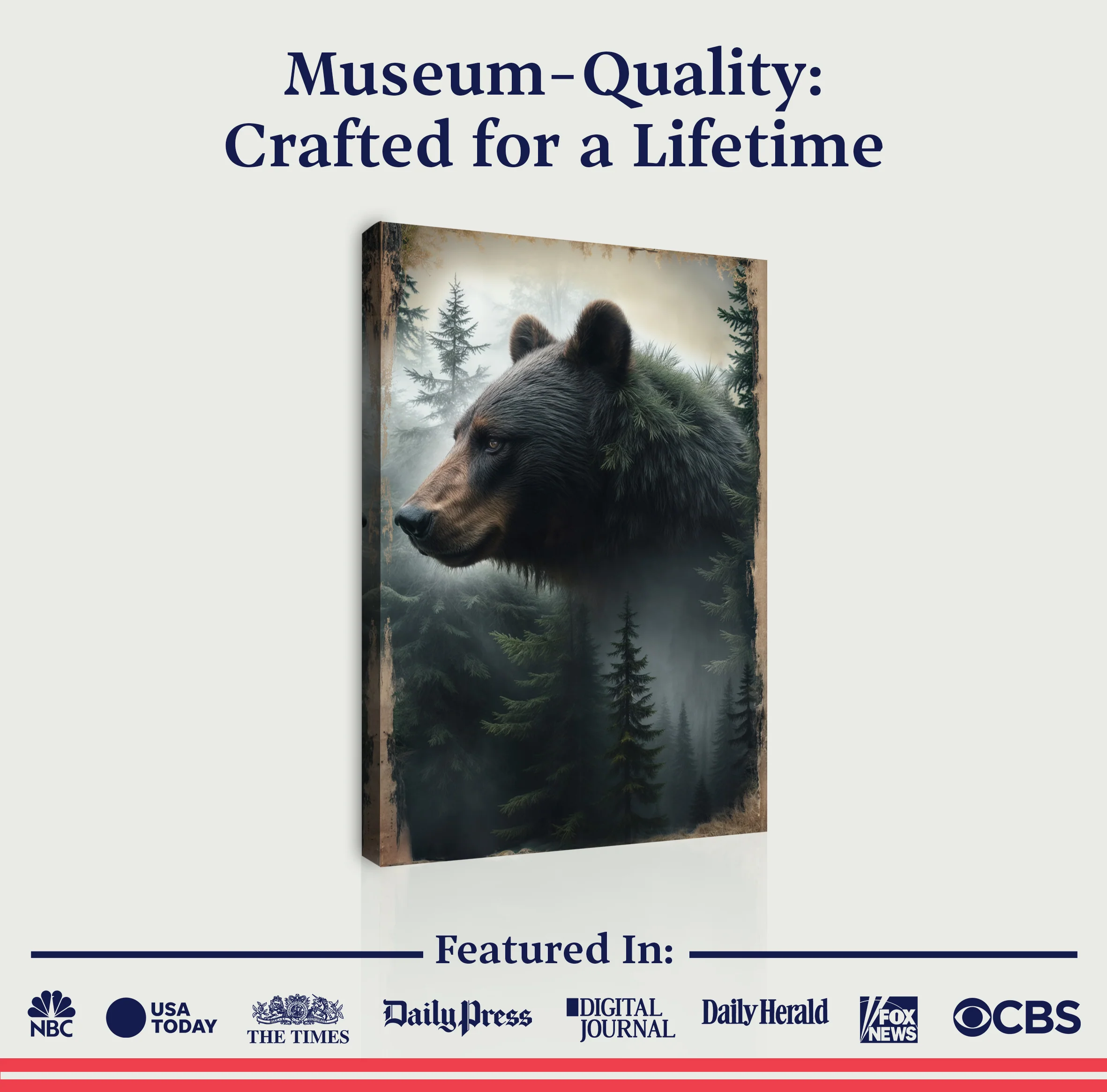 Black Bear Exposure Wall Art - Image 6