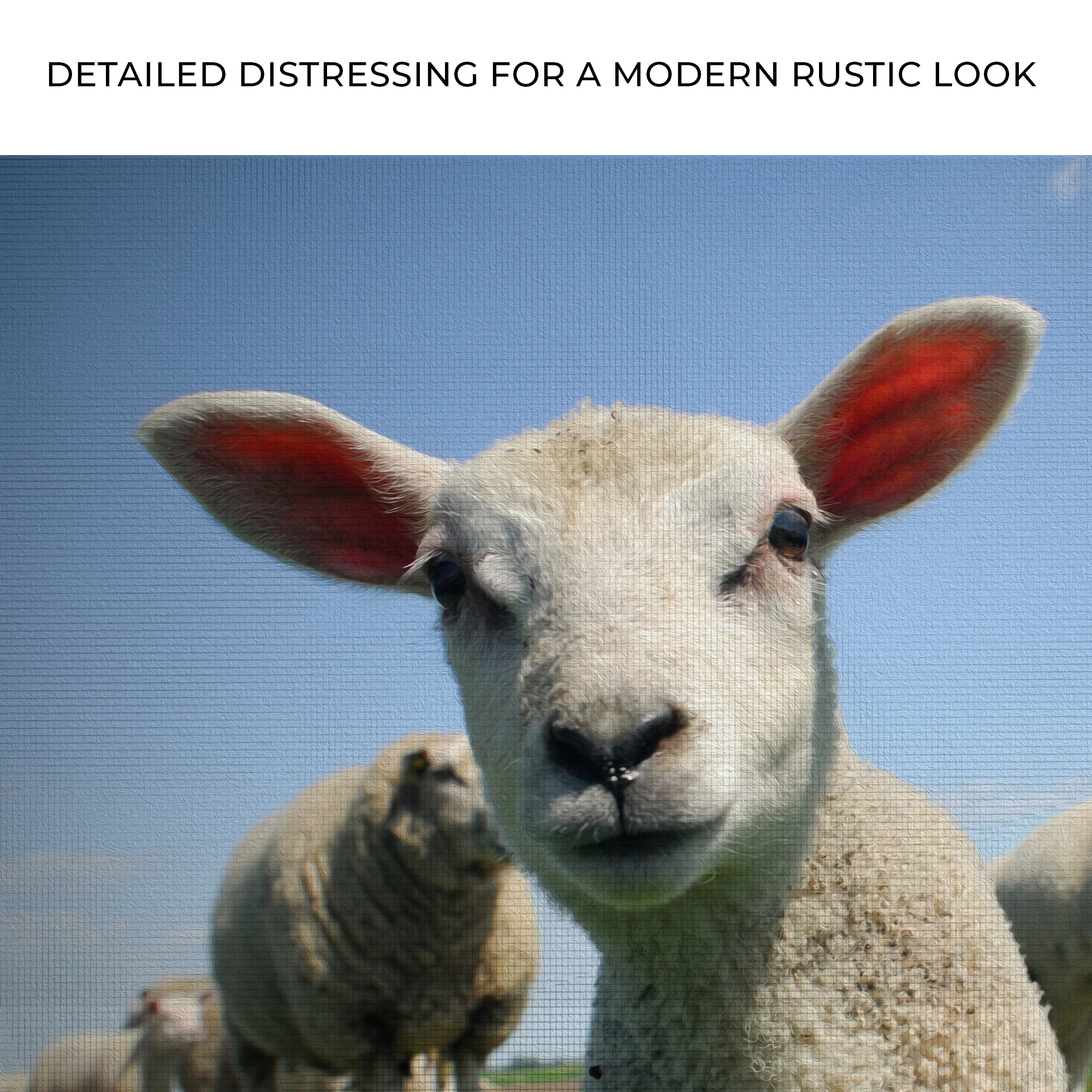 Curious Lamb Canvas Wall Art - Image 4