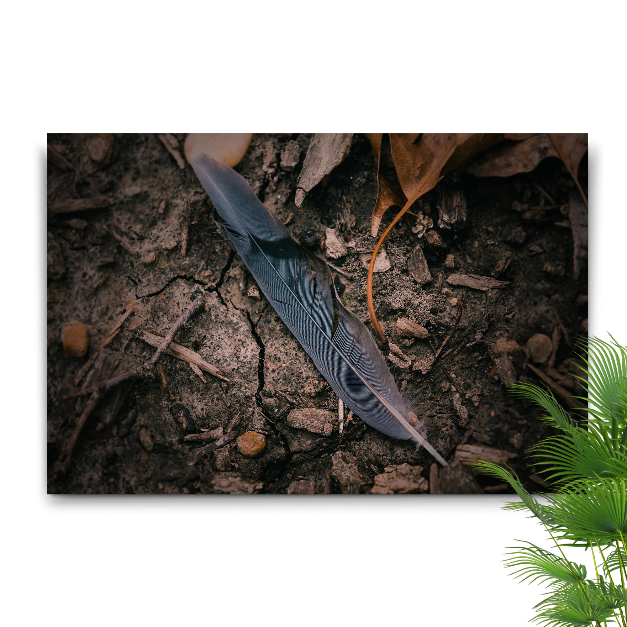 Decor Elements Feather Dark Canvas Wall Art - Image 2