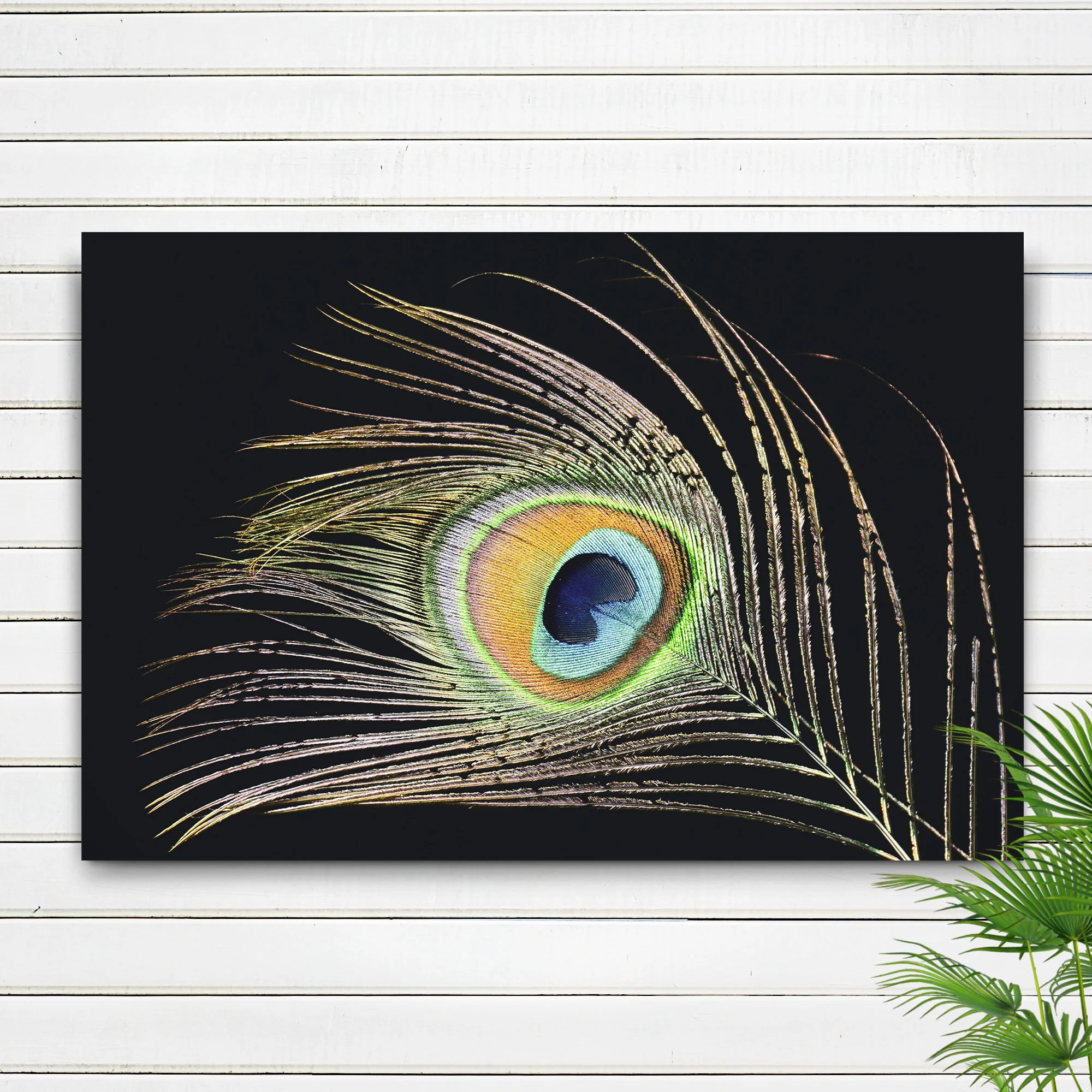 Decor Elements Feather Peacock Canvas Wall Art - Image 2