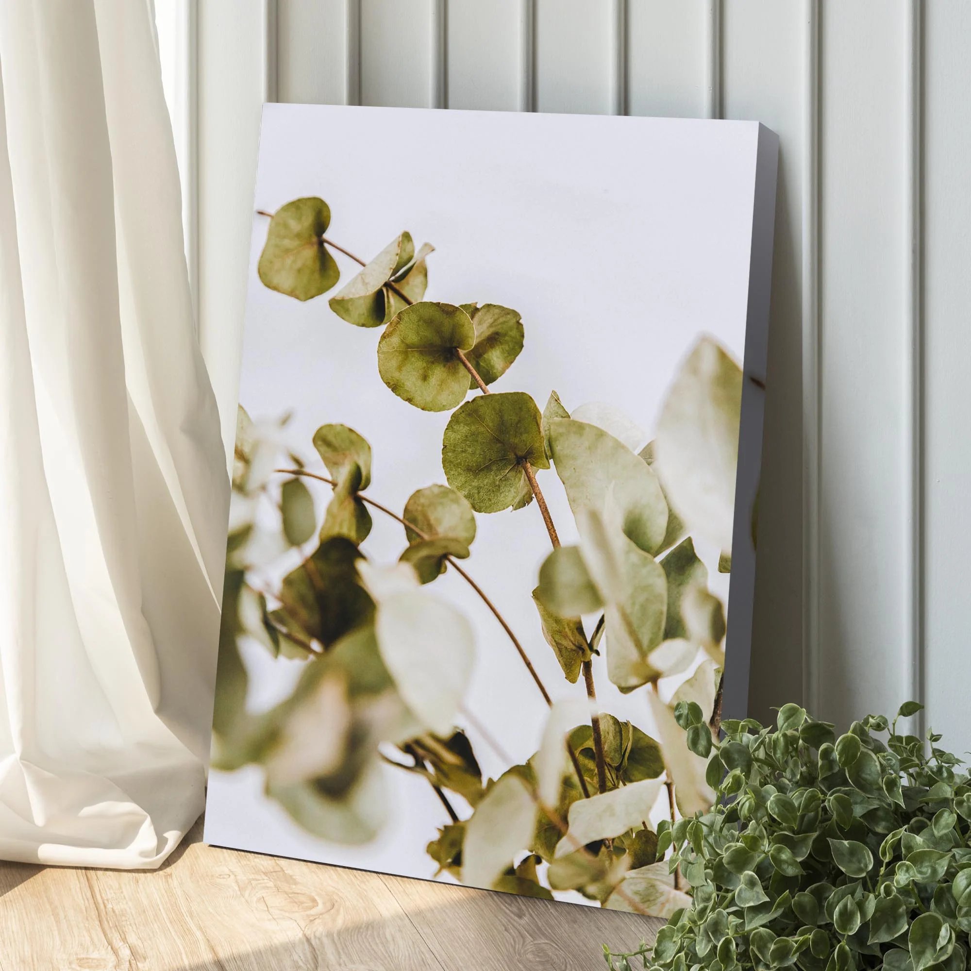 Dried Eucalyptus Canvas Wall Art - Image 2