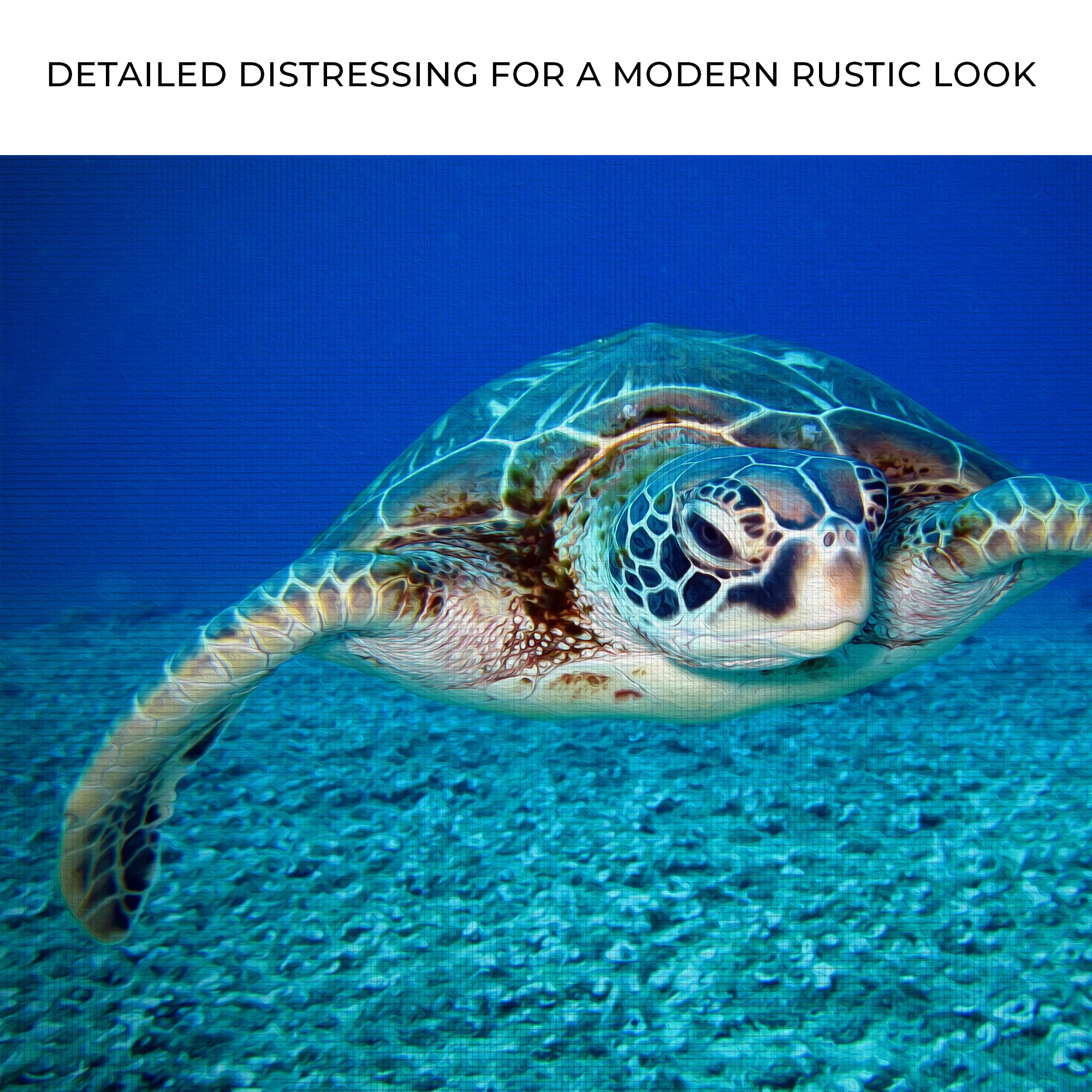 Green Sea Turtle Canvas Wall Art - Image 4