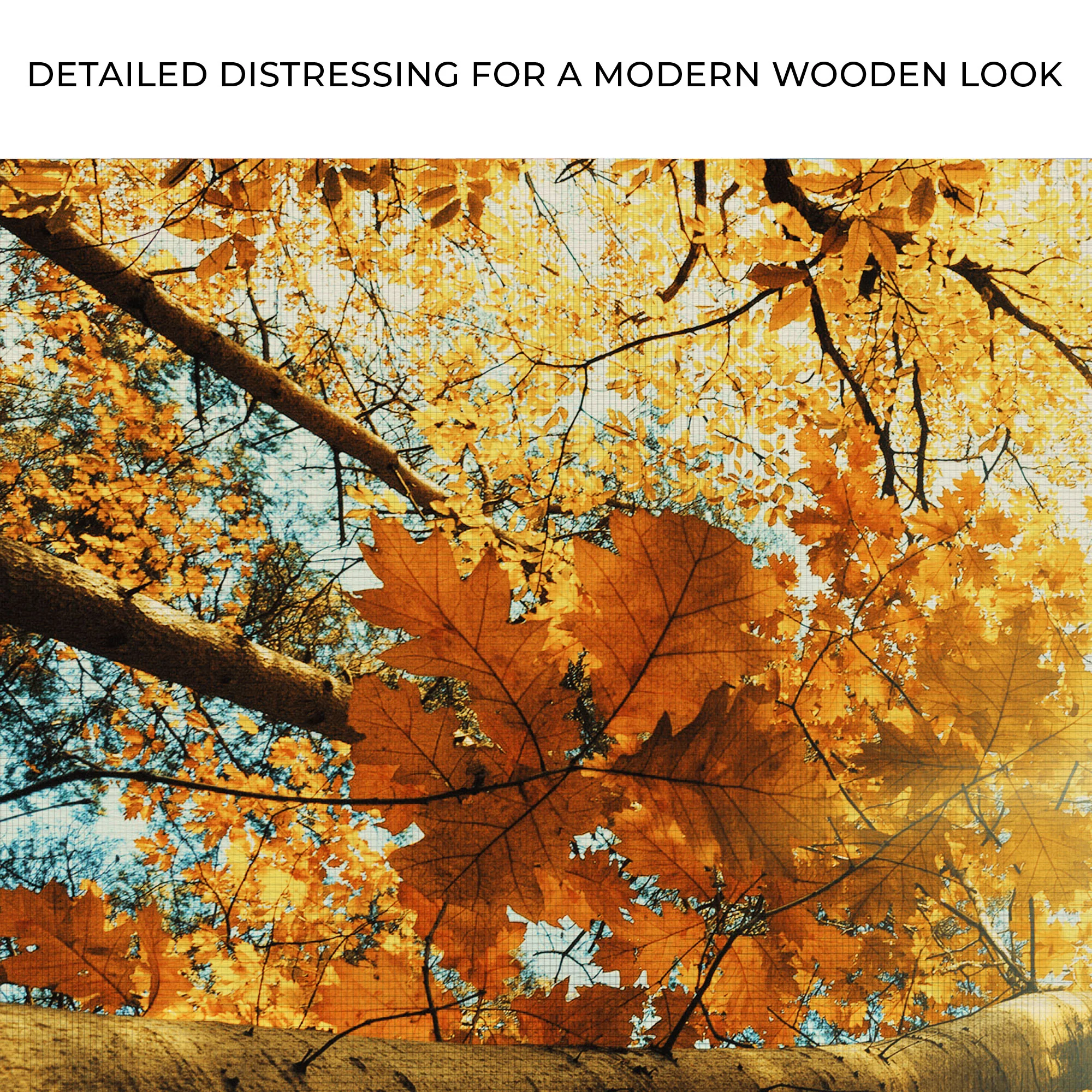 Ground View Autumn Trees Canvas Wall Art - Image 4