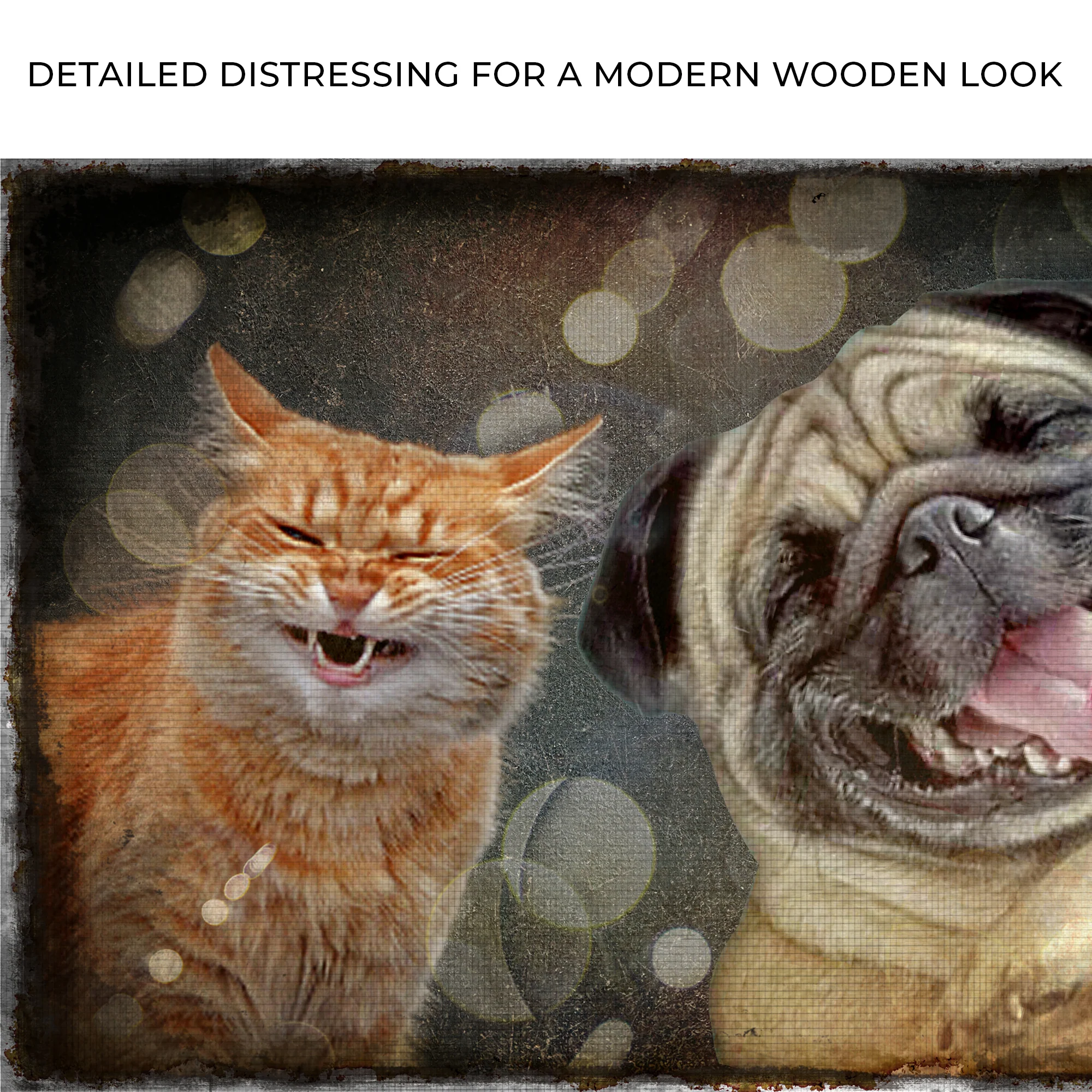 Happy Cat Happy Dog Pet Canvas Wall Art - Image 4
