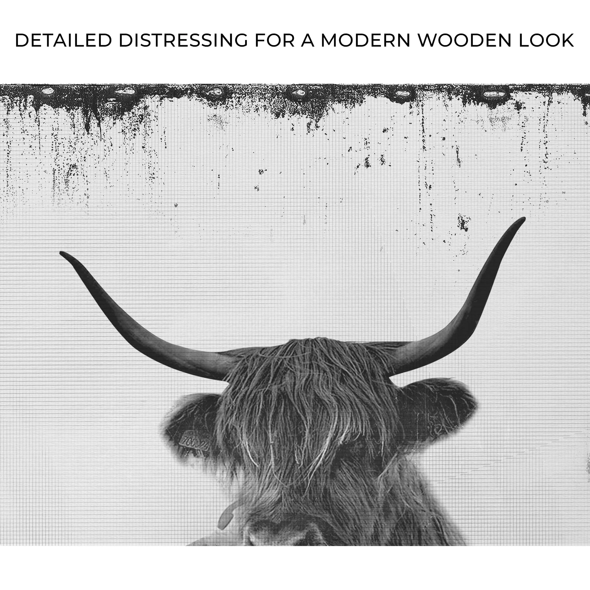 Highland Cattle Bath Canvas Wall Art II - Image 3