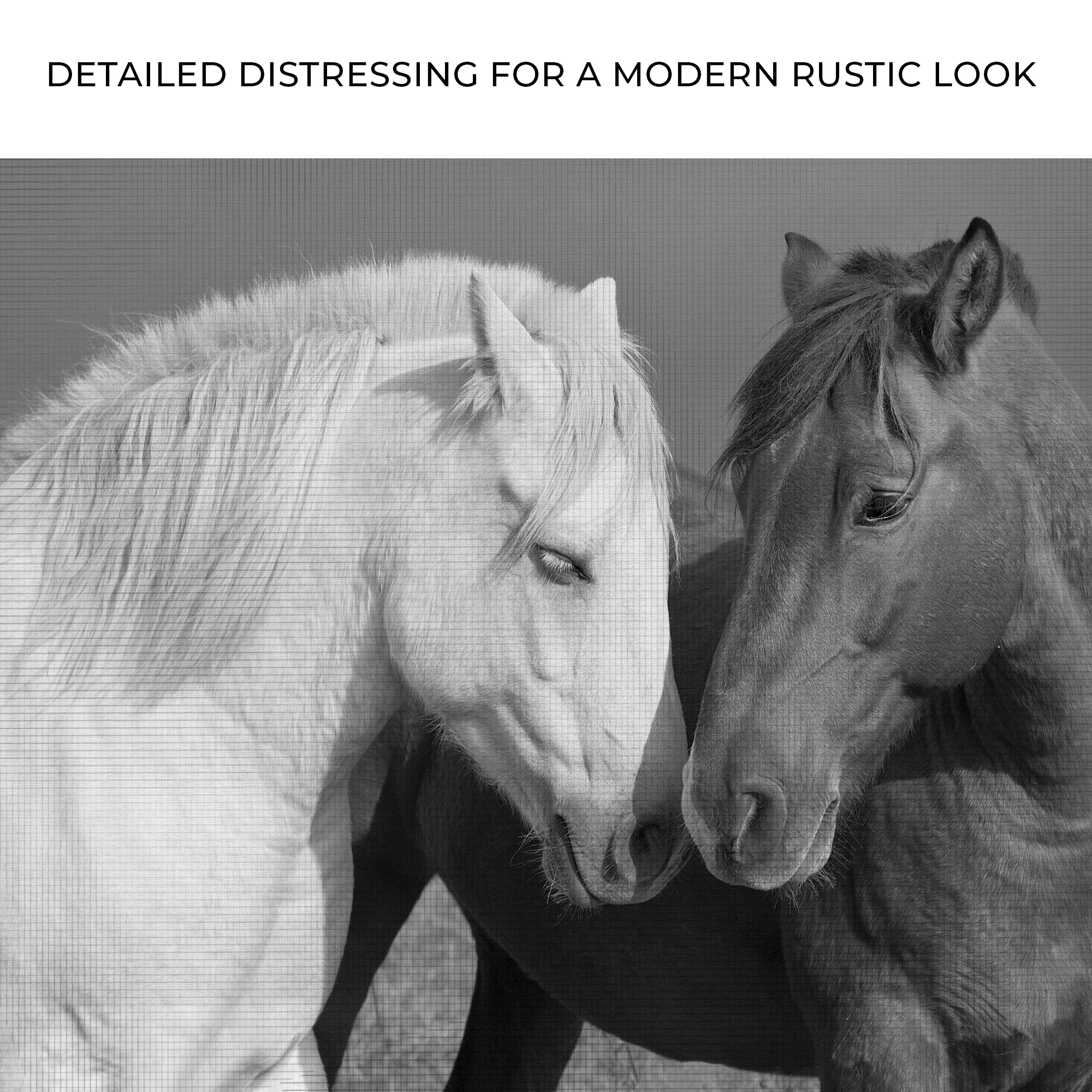 Horse Love Canvas Wall Art - Image 4