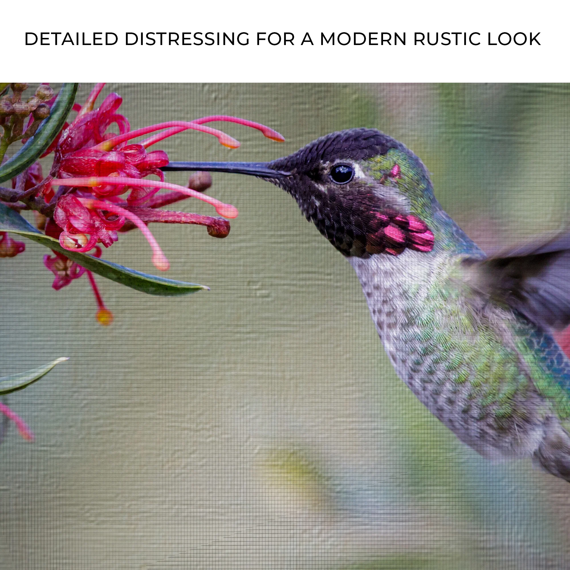 Hummingbird Spring Canvas Wall Art - Image 4