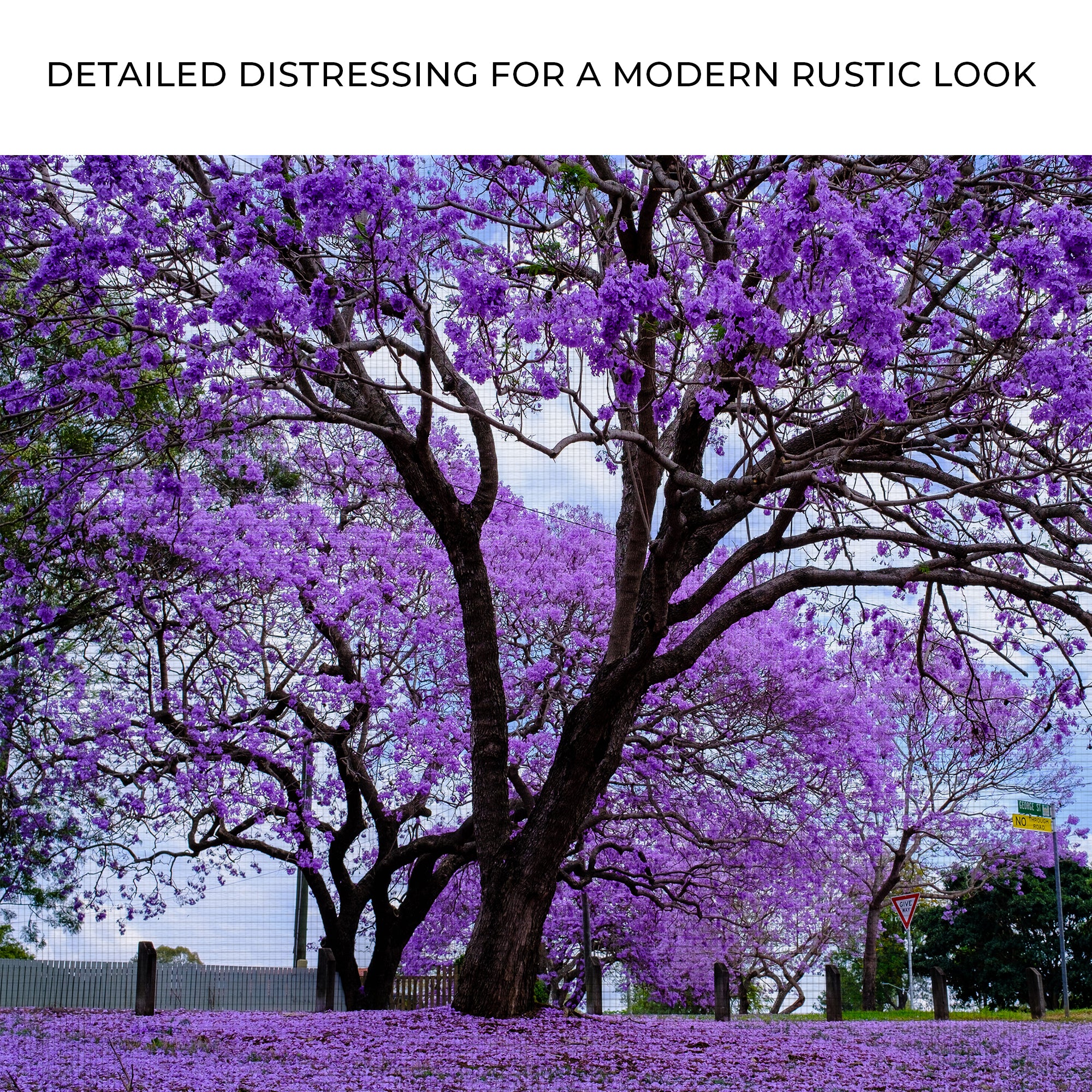 Jacaranda Trees Canvas Wall Art - Image 4