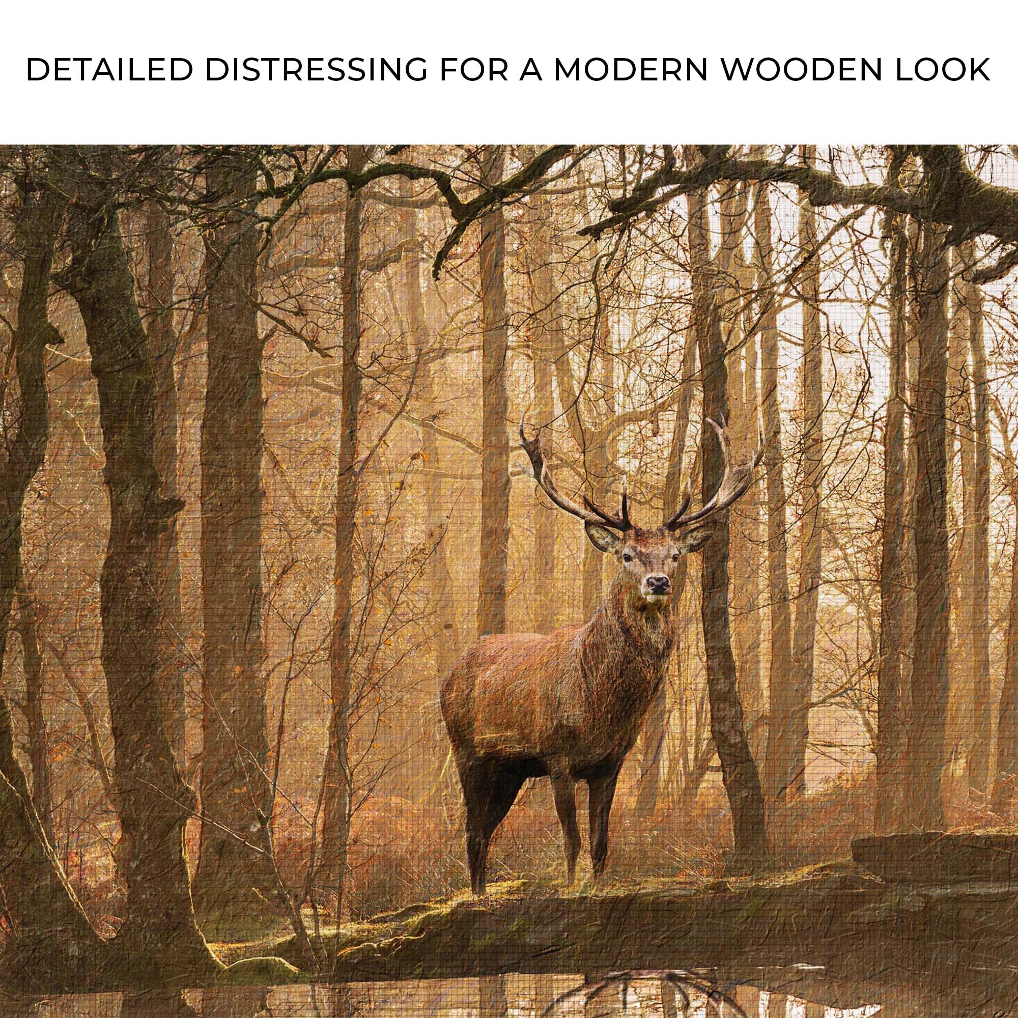 Lone Deer In A Misty Forest Canvas Wall Art (Free Shipping) - Image 4
