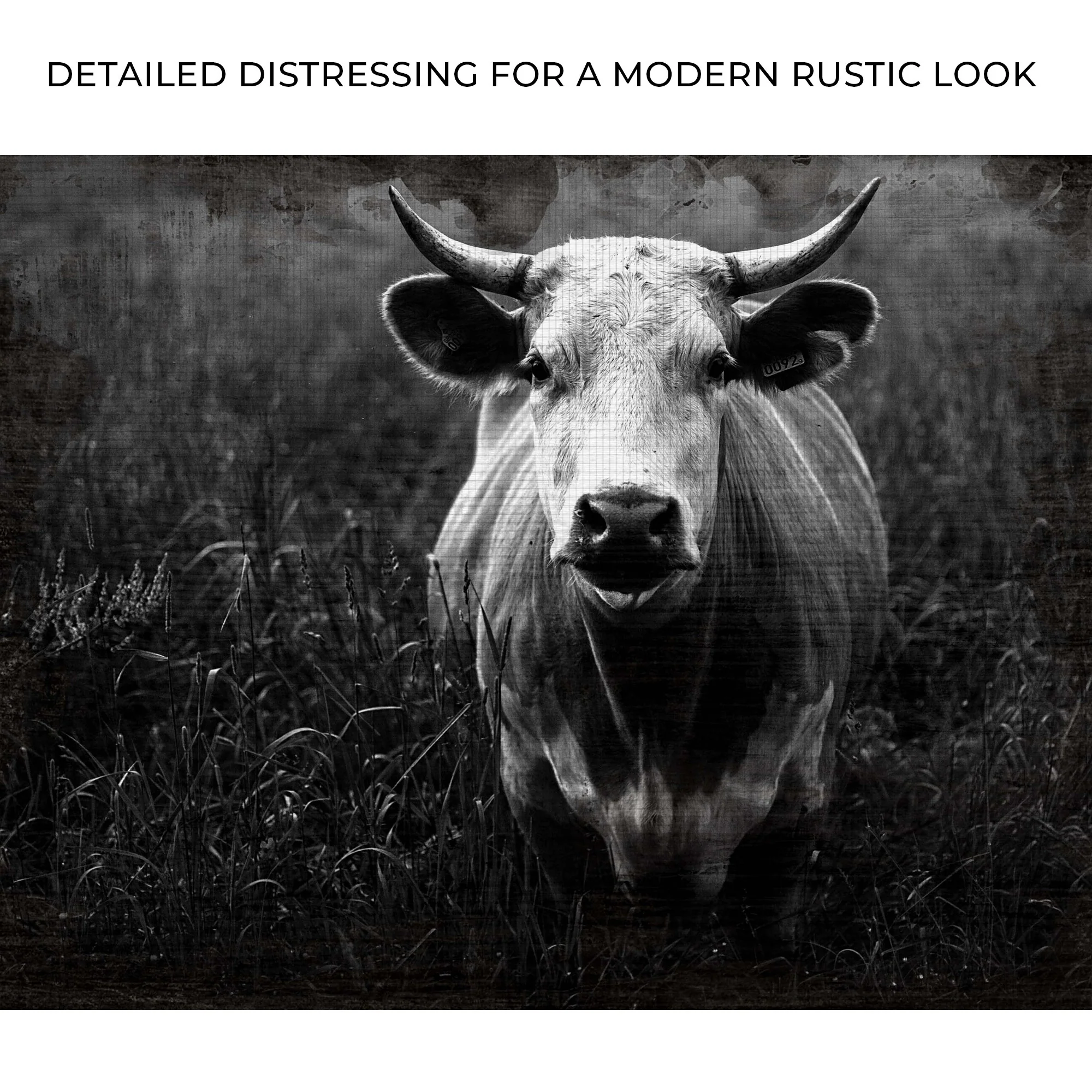 Longhorn Cattle Portrait Canvas Wall Art - Image 3