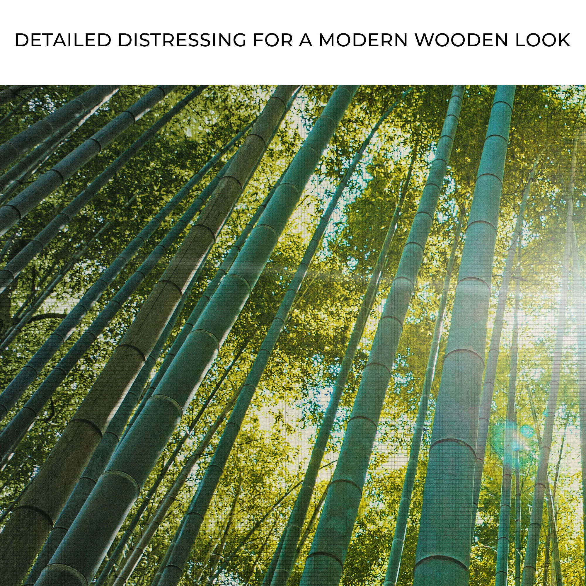 Looking Up Through A Bamboo Forest Canvas Wall Art - Image 4