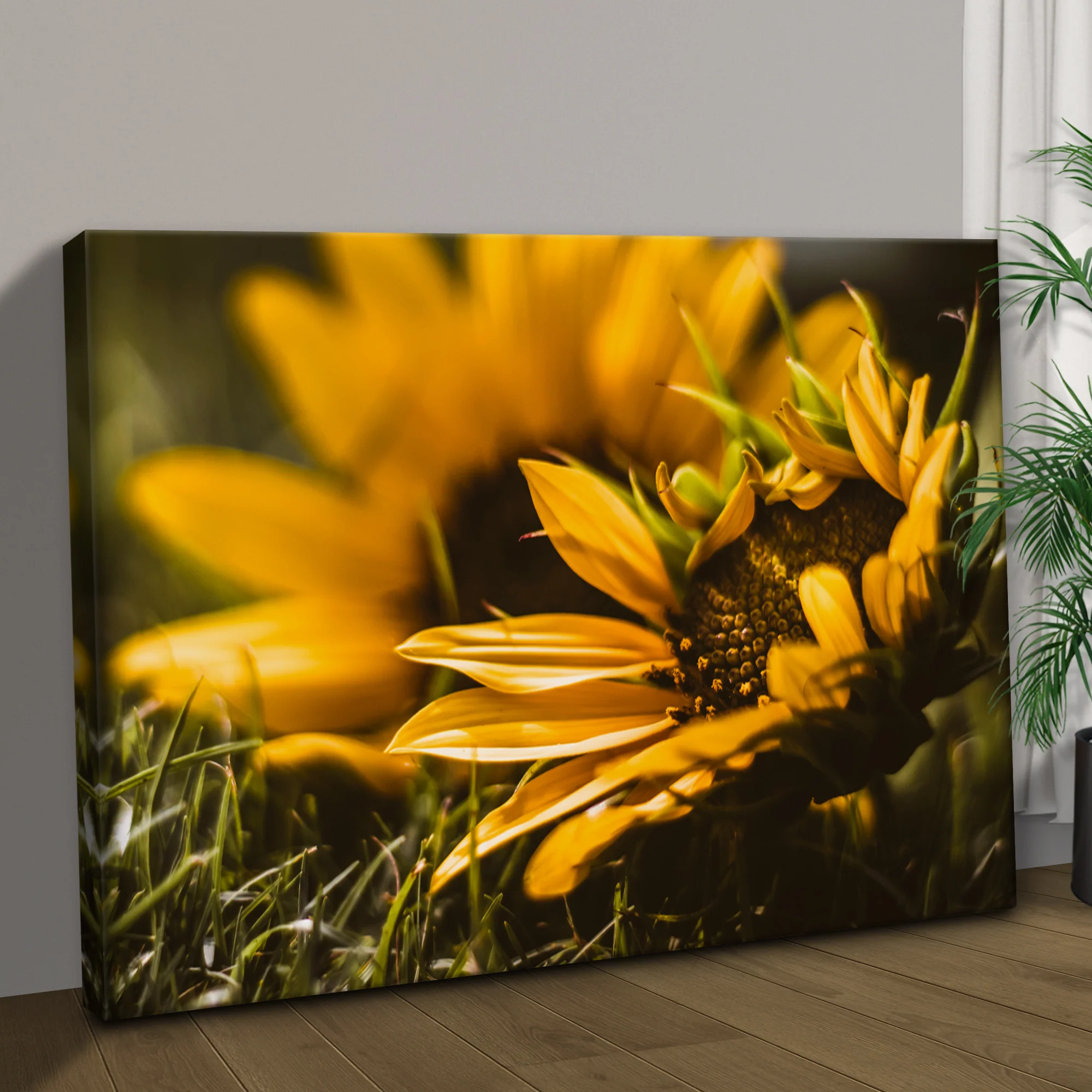 Macro Sunflower Canvas Wall Art - Image 2