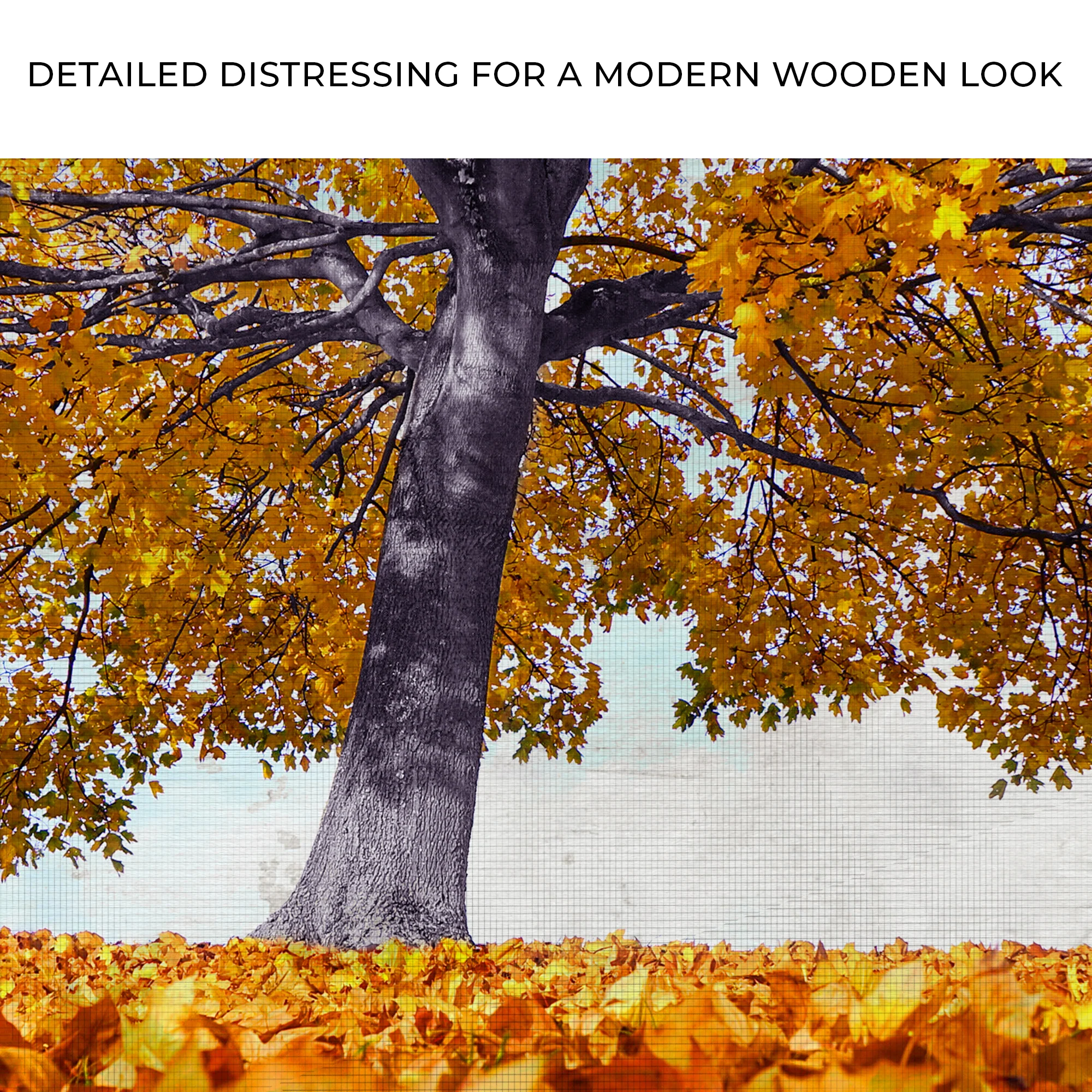 Maple Tree During Autumn Canvas Wall Art - Image 4