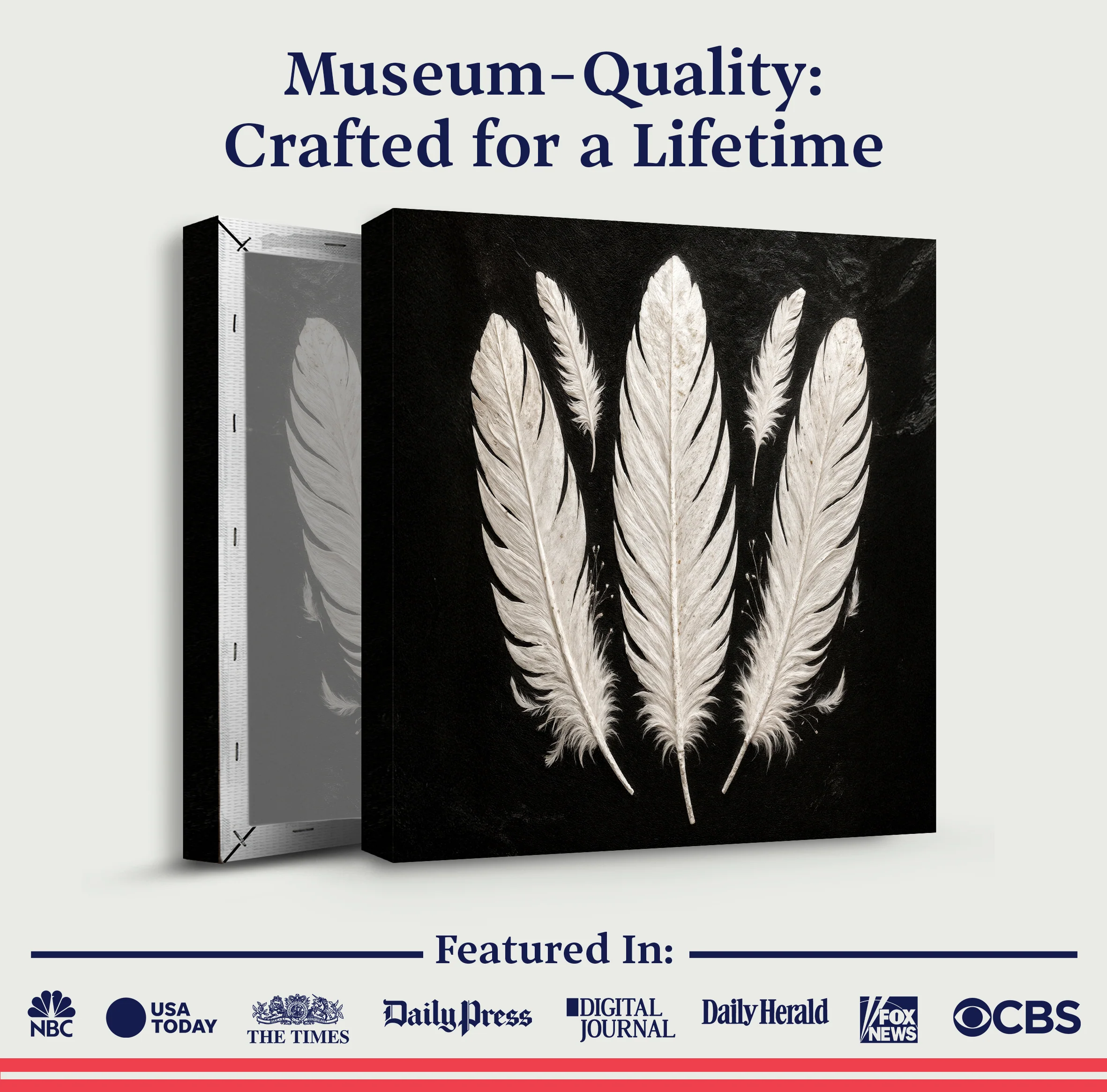 Minimalist Monochrome Feather Wall Art - Image 6