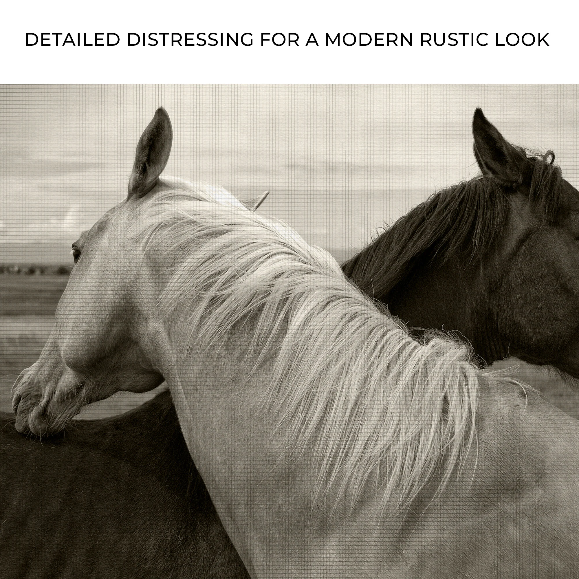 Monochrome Couple Horse Canvas Wall Art - Image 4