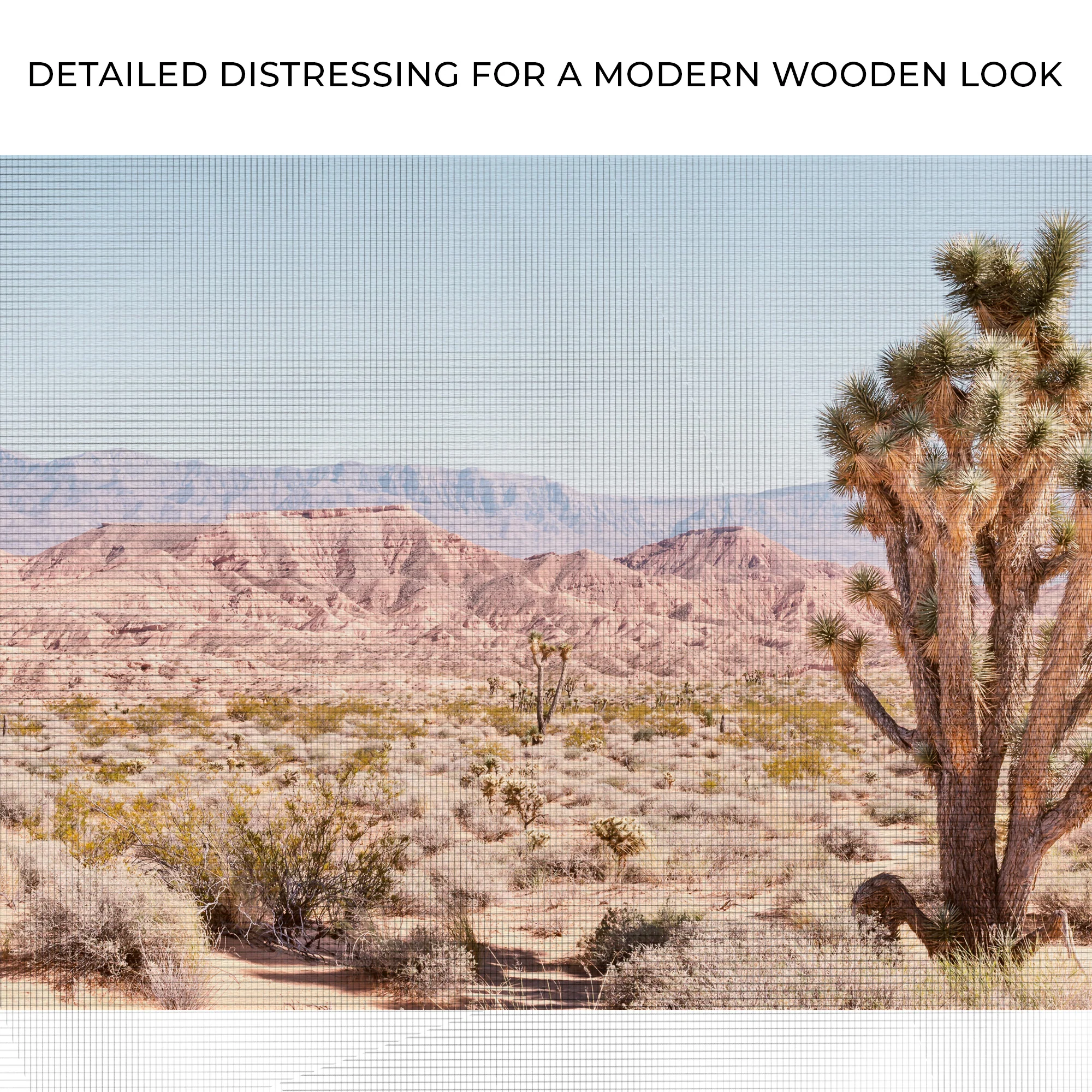Nevada Desert Joshua Tree Canvas Wall Art - Image 4