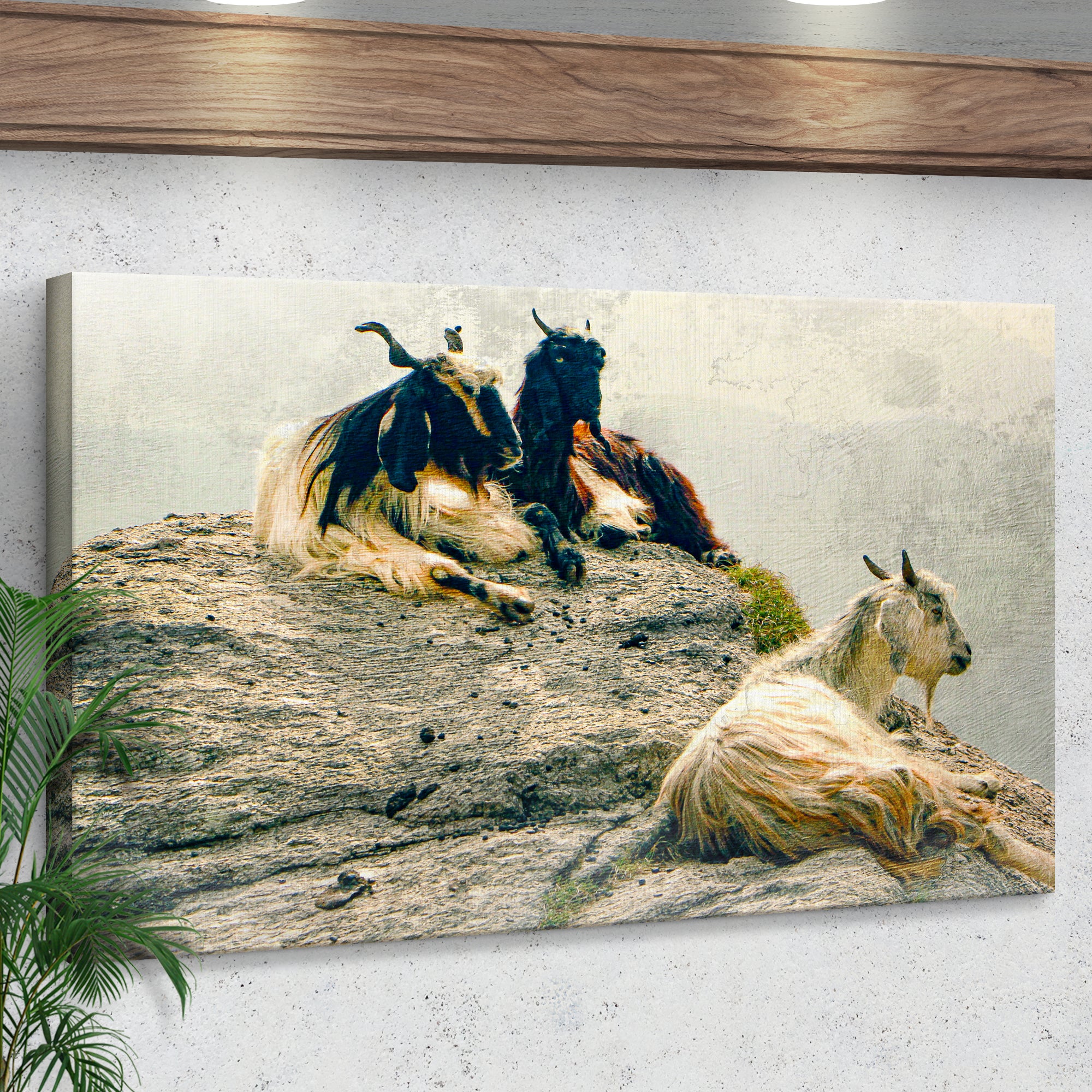 Pashmina Goats On Rocky Mountain Canvas Wall Art - Image 2