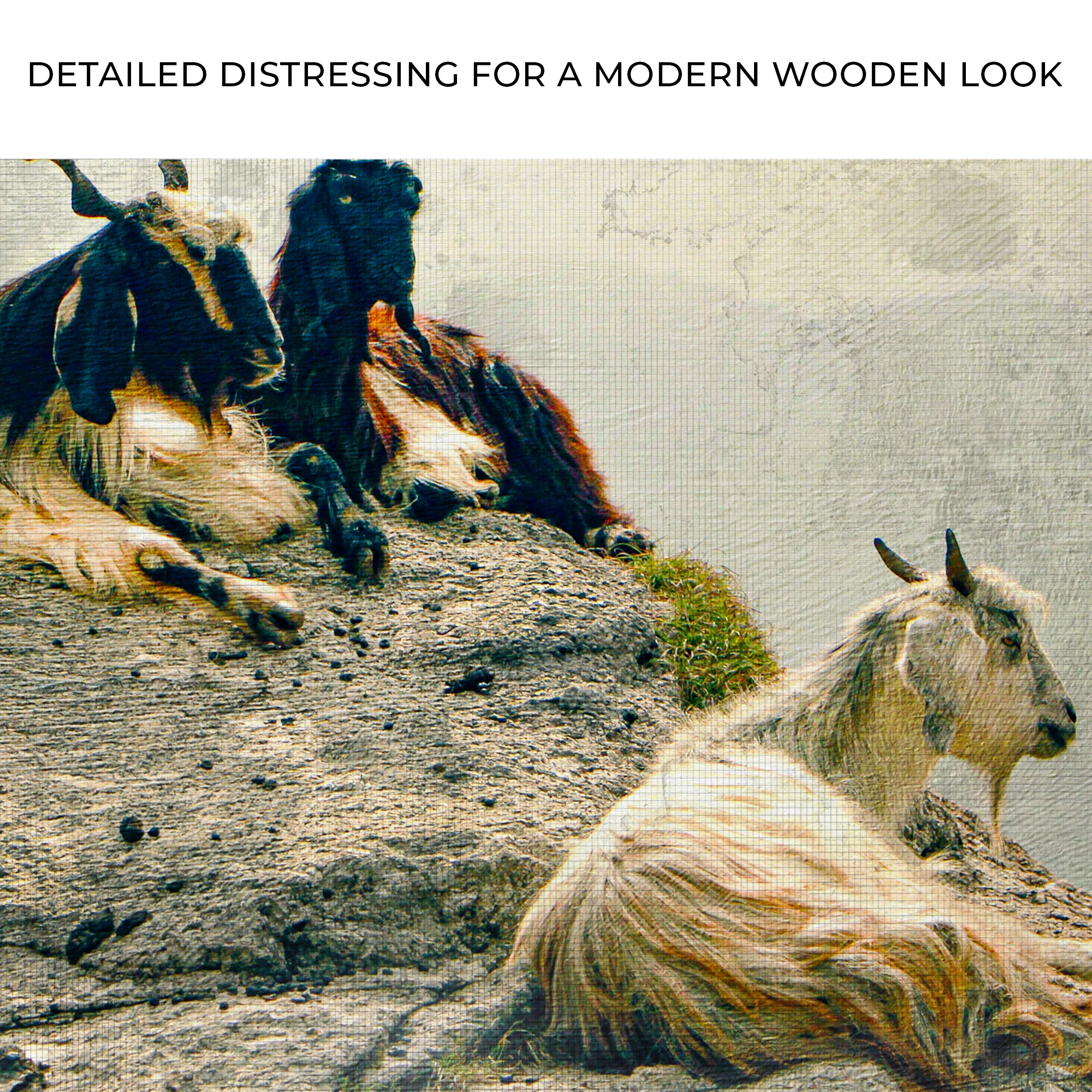 Pashmina Goats On Rocky Mountain Canvas Wall Art - Image 4