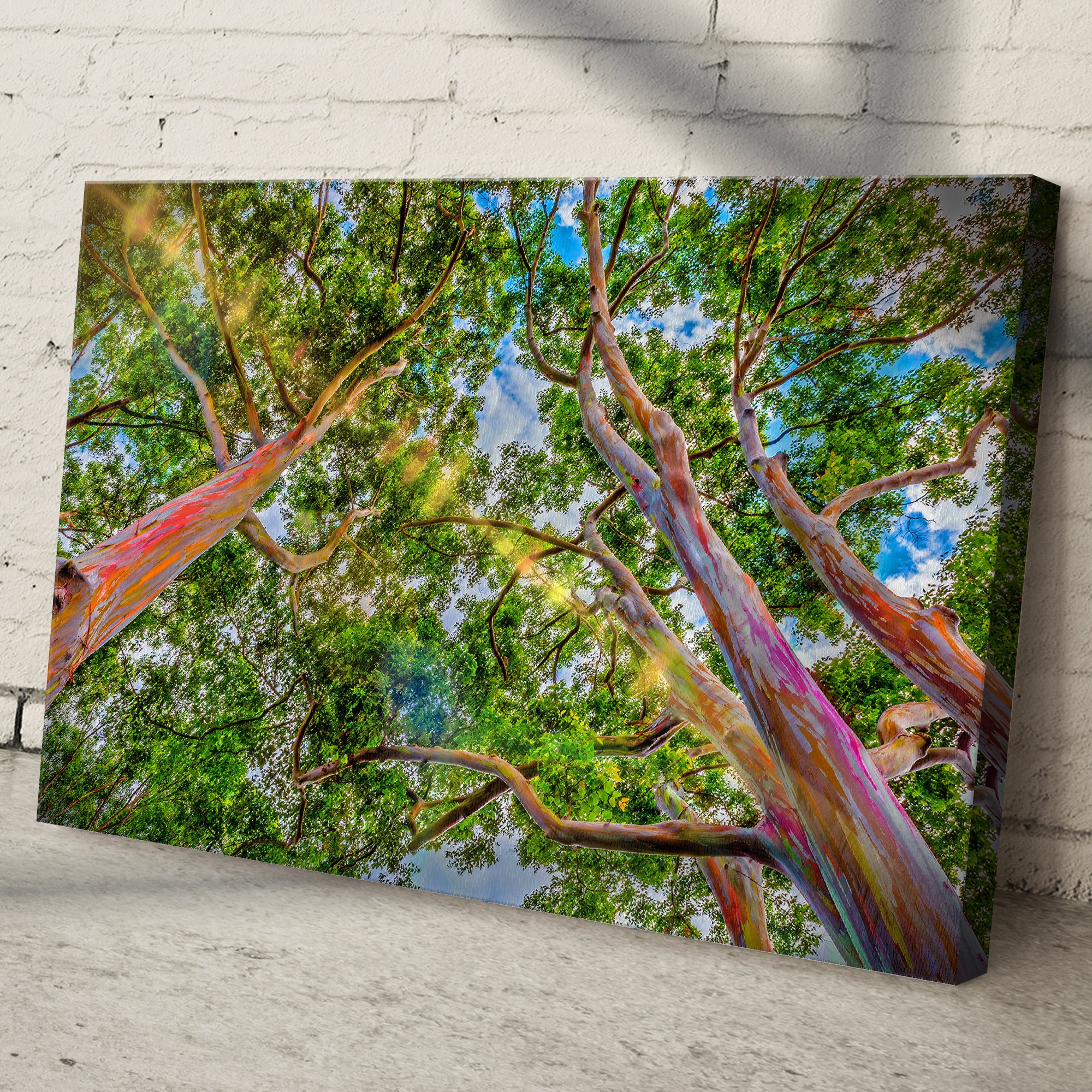 Rainbow Eucalyptus Tree Canvas Wall Art - Image 2