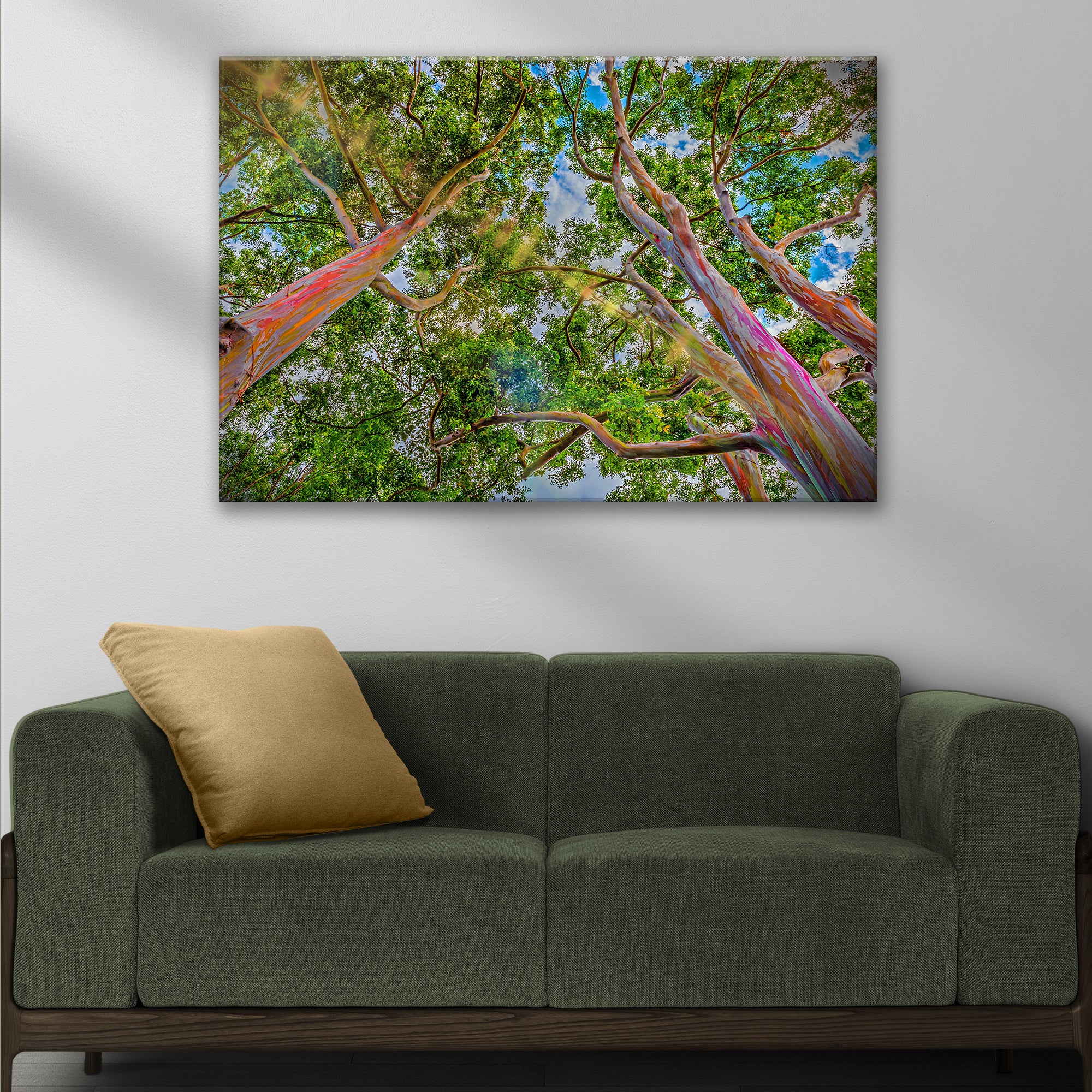 Rainbow Eucalyptus Tree Canvas Wall Art - Image 3