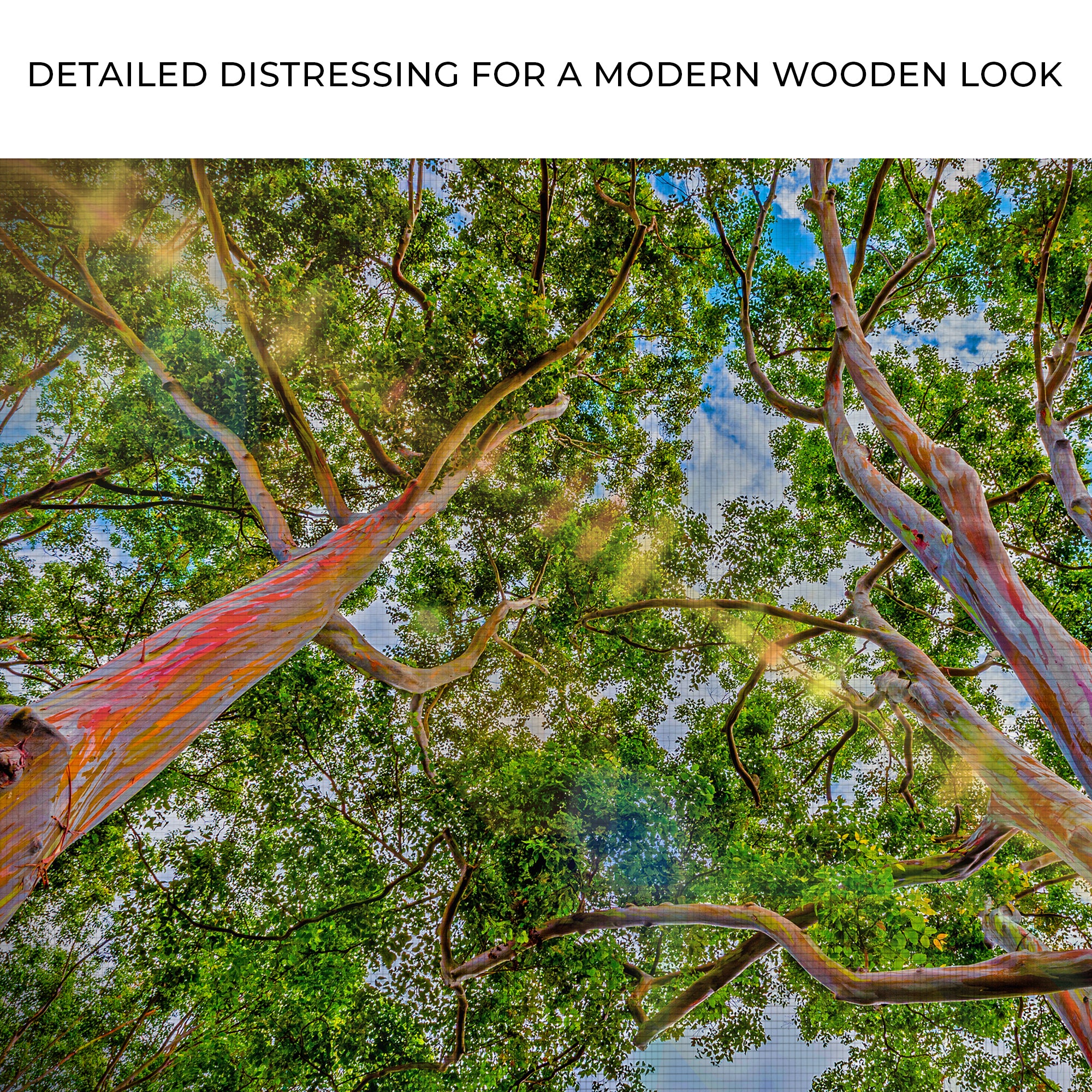 Rainbow Eucalyptus Tree Canvas Wall Art - Image 4