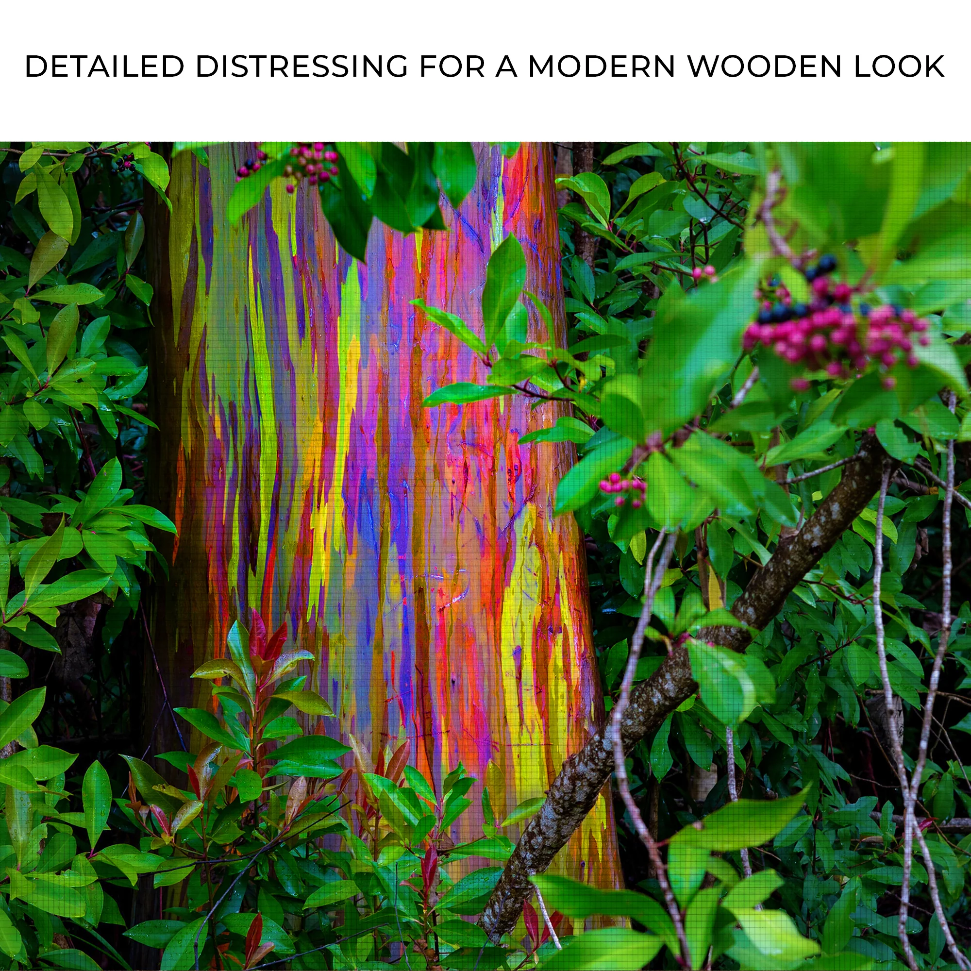 Rainbow Eucalyptus Tree Canvas Wall Art II - Image 4