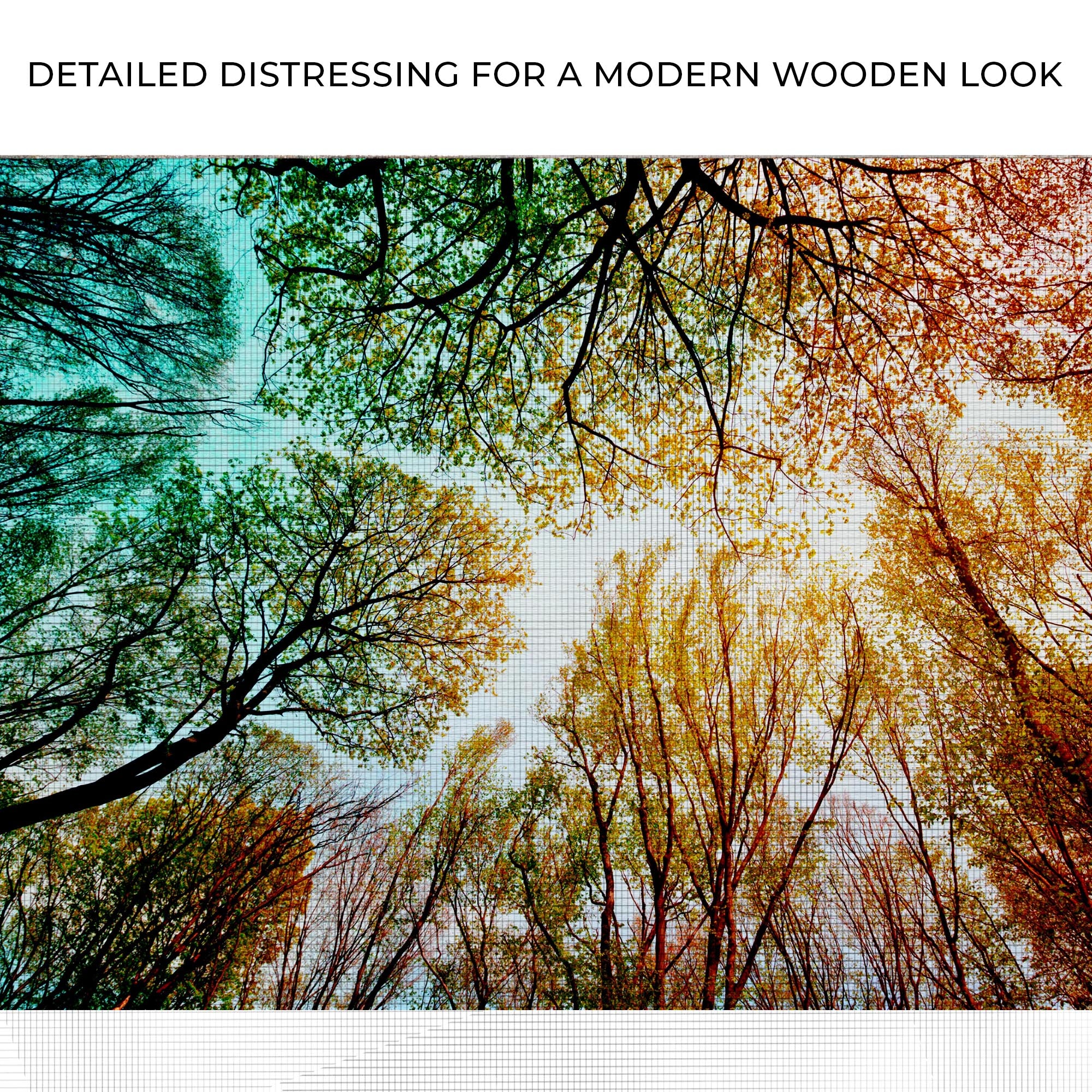 Rainbow Treetop Canvas Wall Art - Image 4