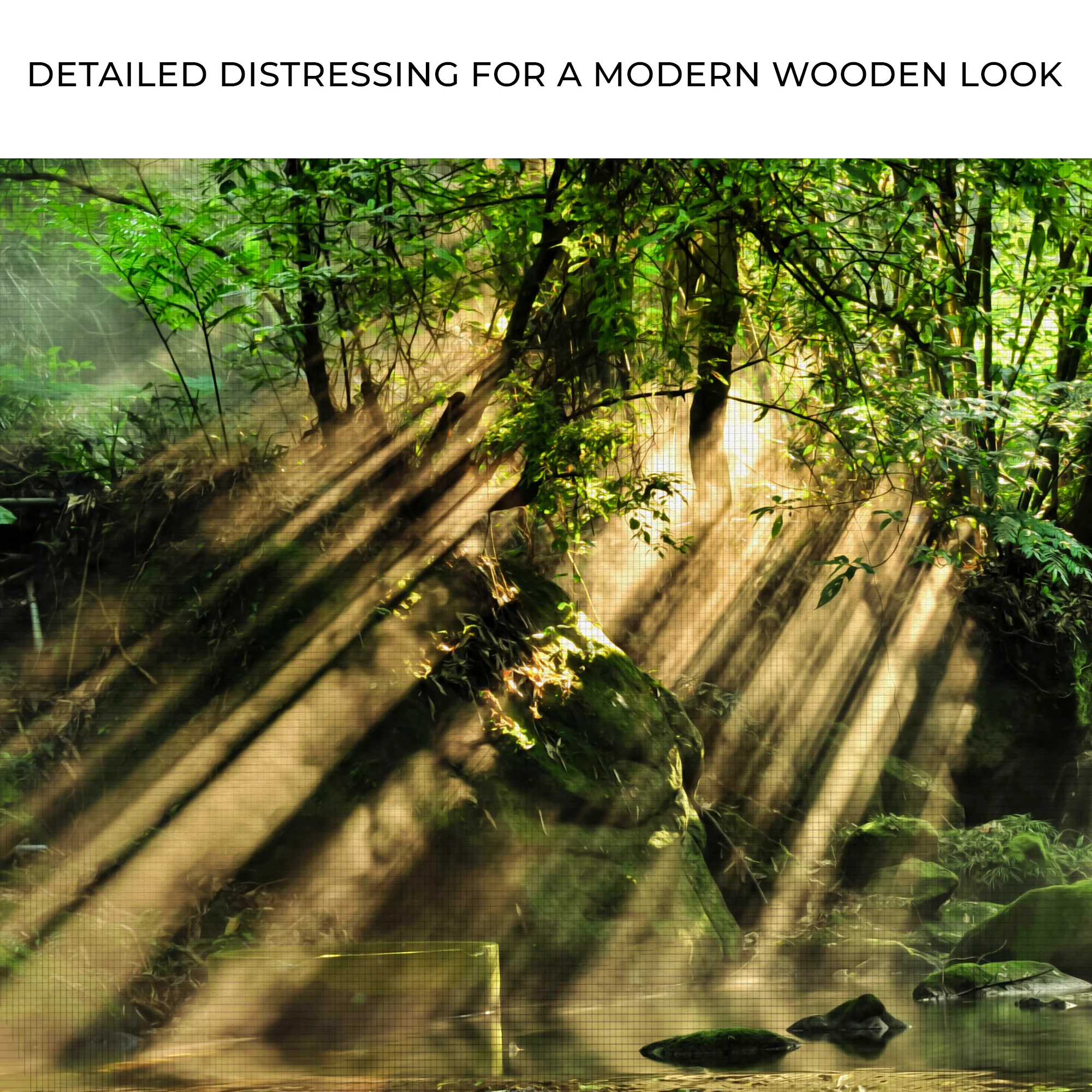 Scenic Forest Canvas Wall Art - Image 4