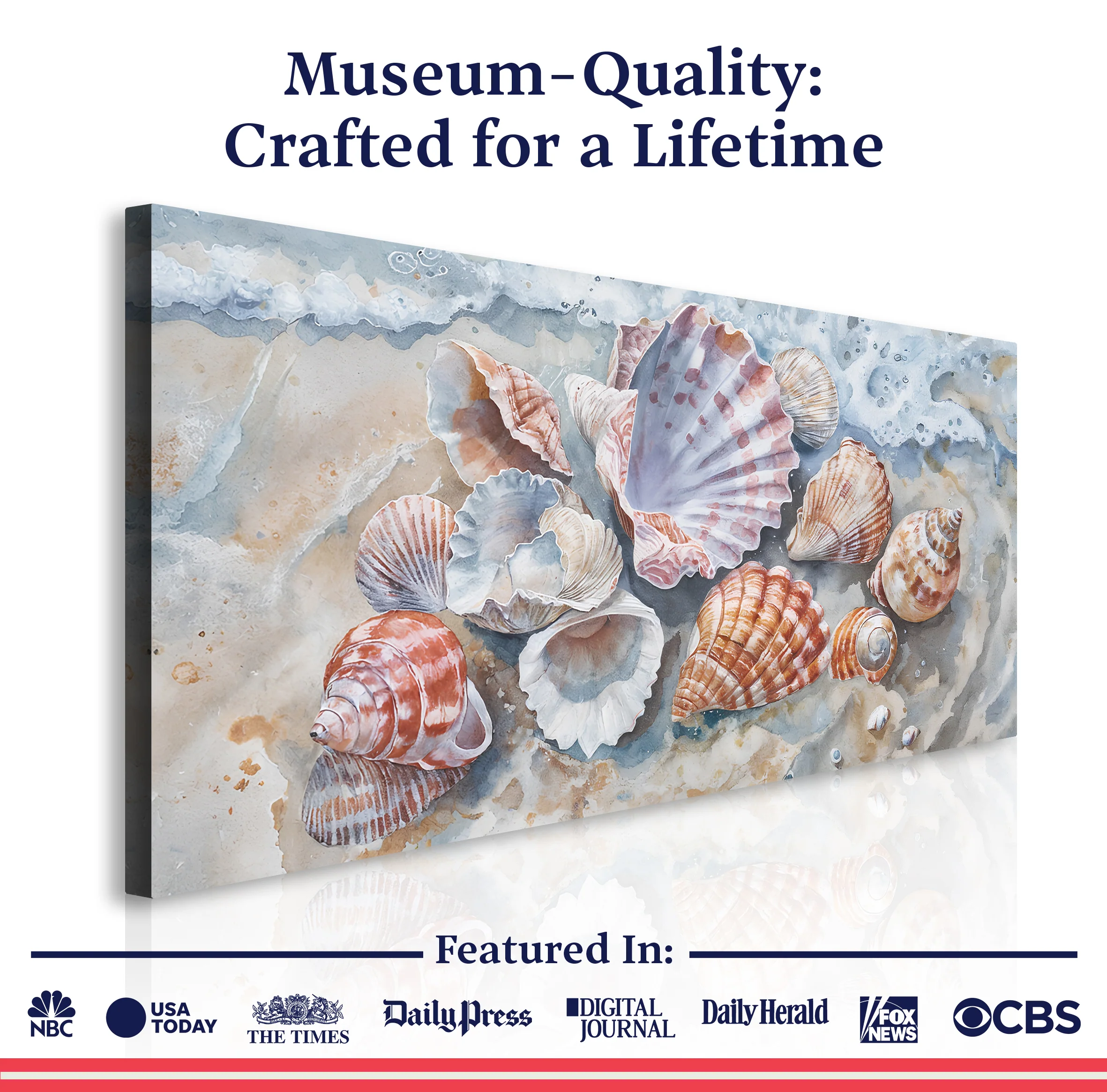 Sea Shells Modern Coastal Wall Art - Image 6
