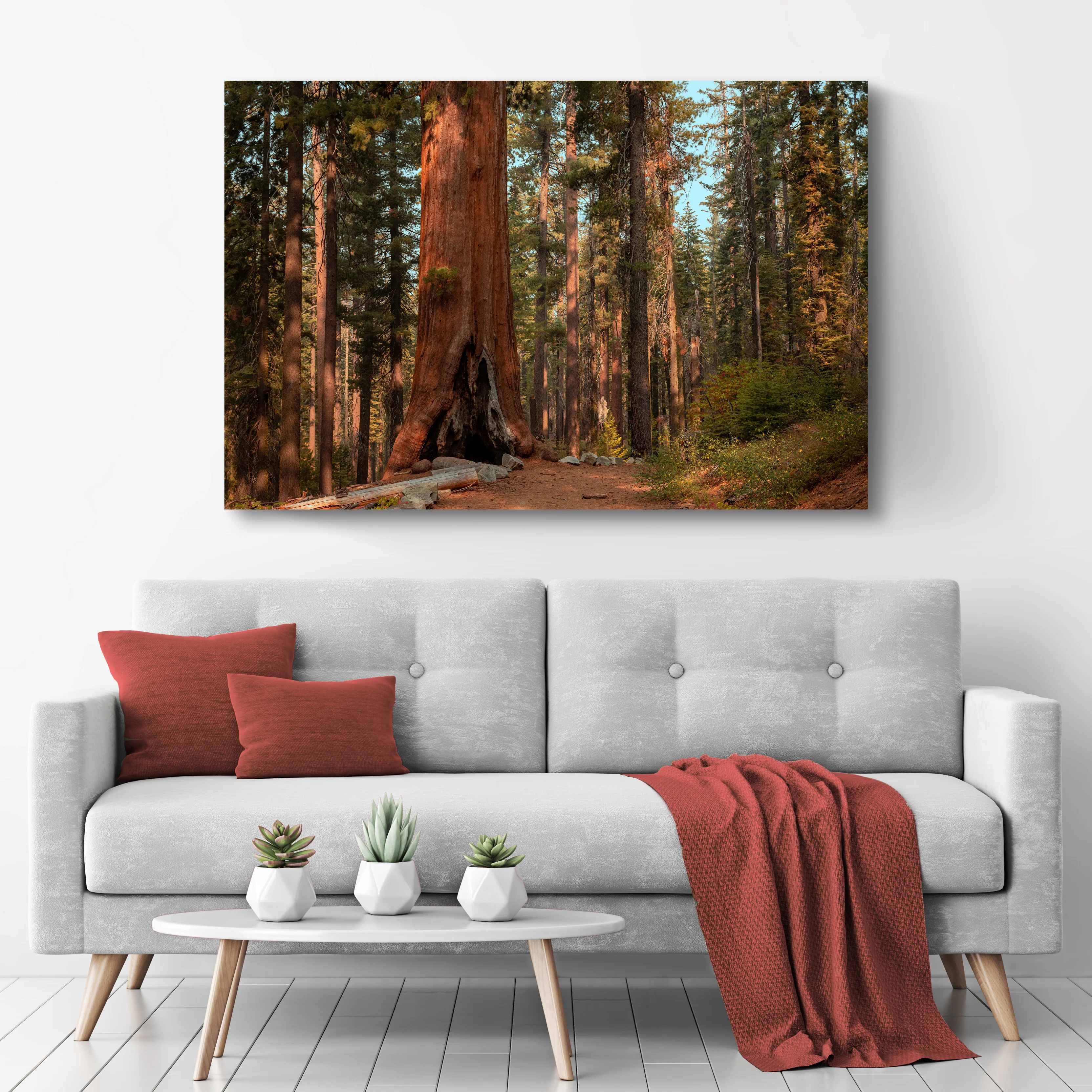 Sequoia Trees Canvas Wall Art - Image 3