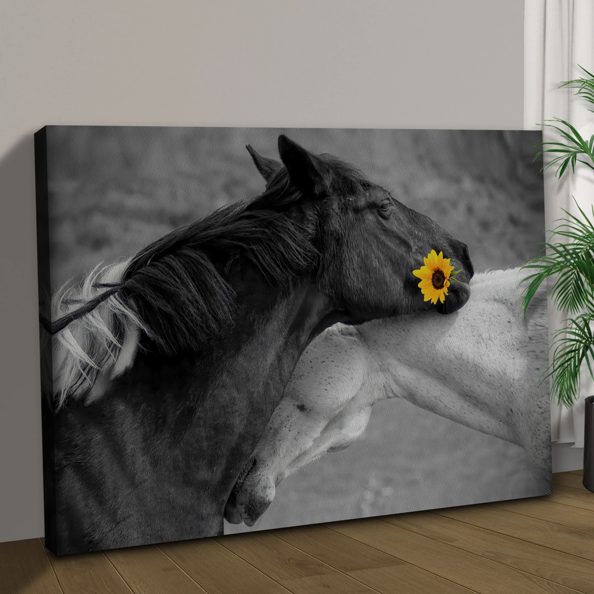 Sweet Black And White Horses Canvas Wall Art - Image 2