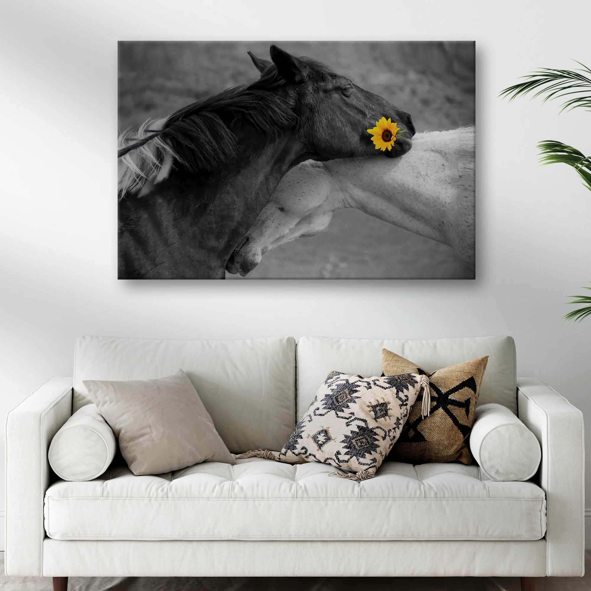Sweet Black And White Horses Canvas Wall Art - Image 3