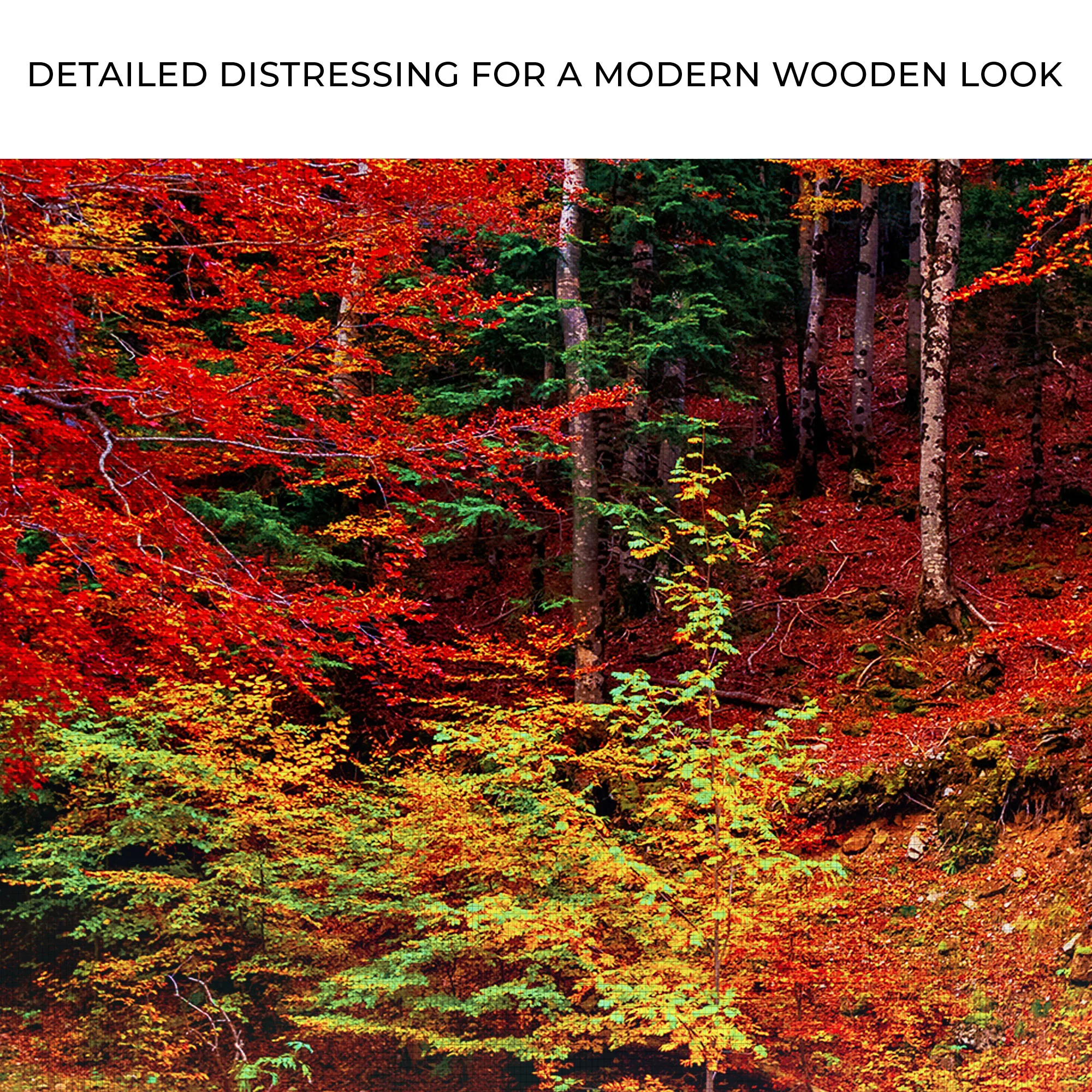 Walk Through Autumn Canvas Wall Art - Image 4