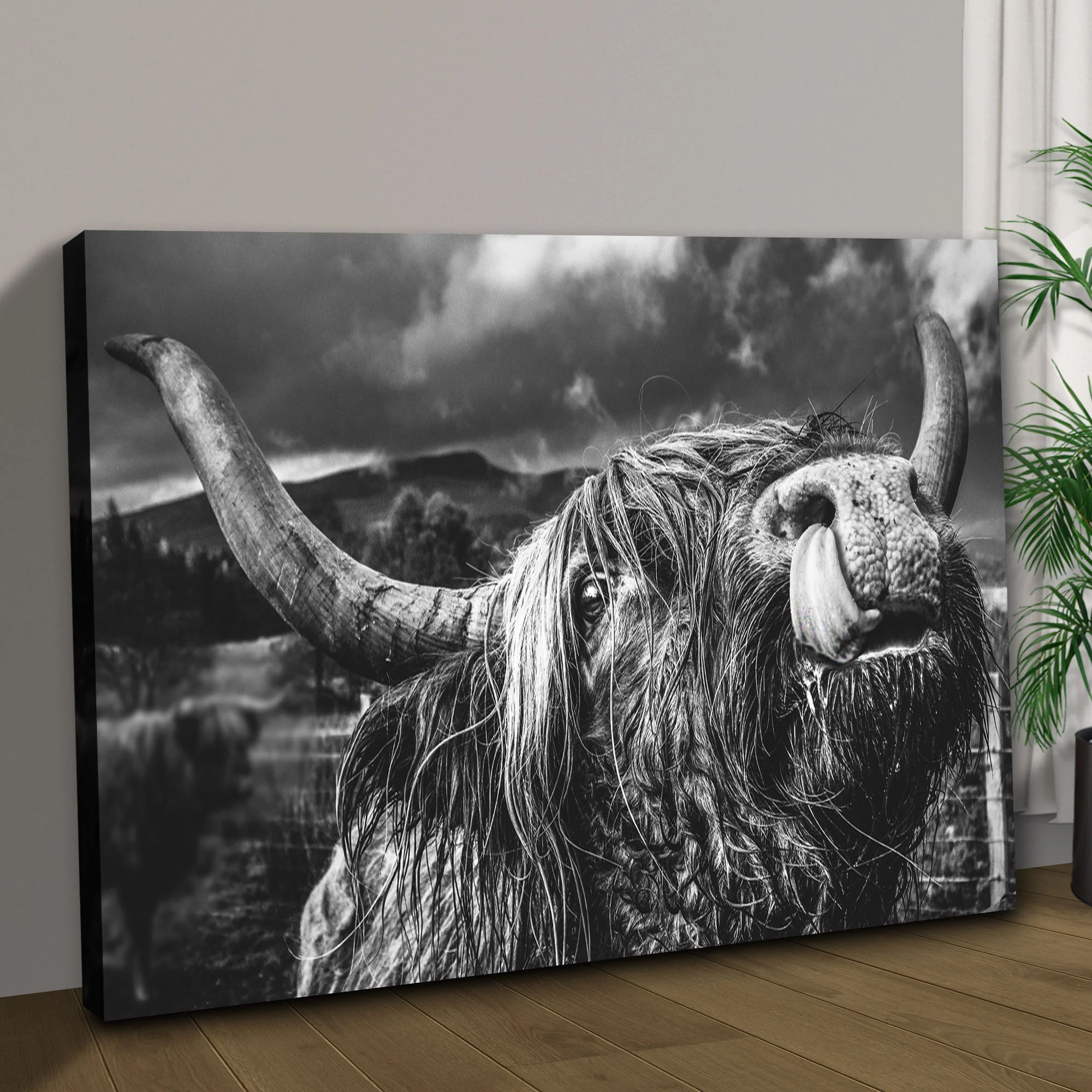 West Highland Cow Monochrome Canvas Wall Art - Image 2