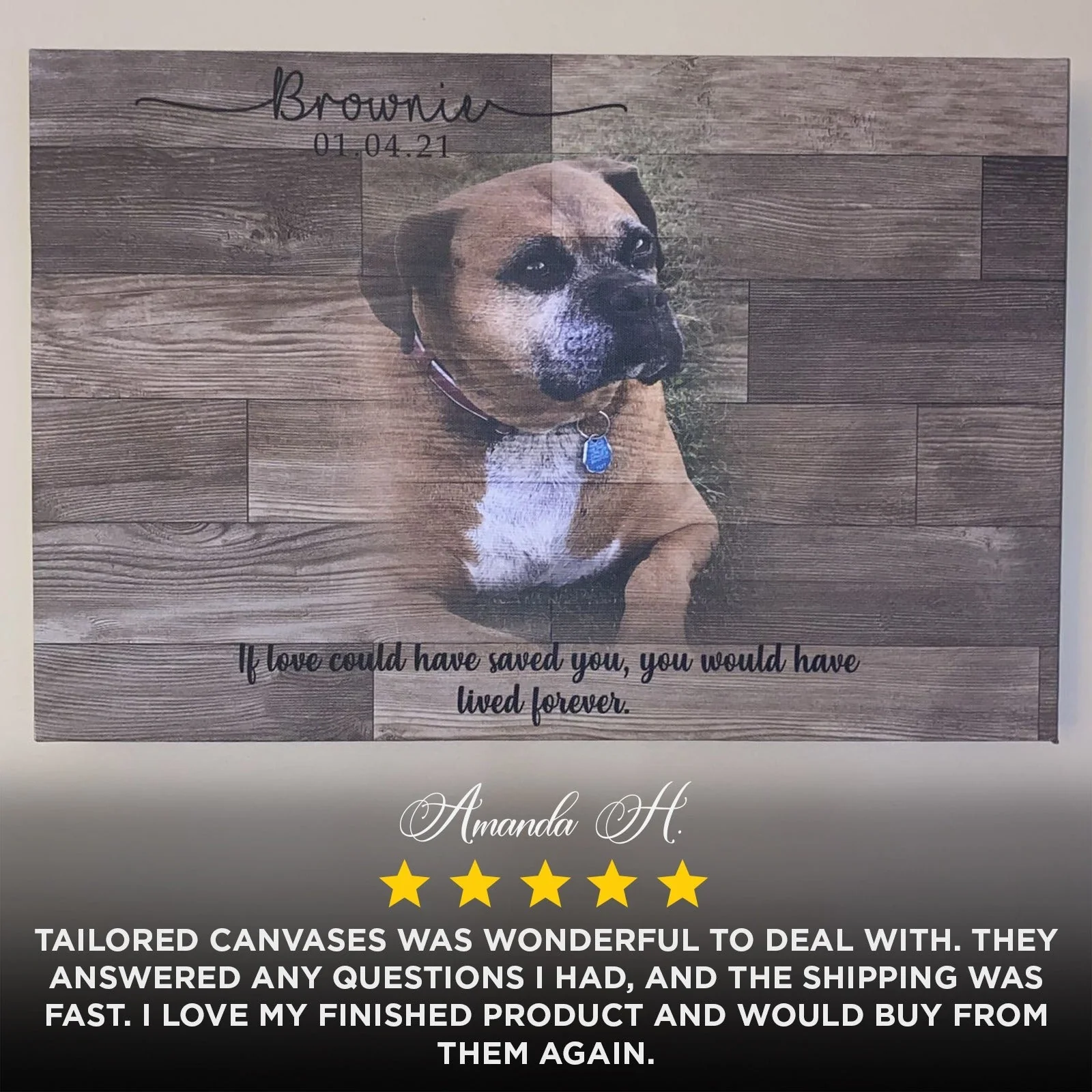 Wooden Animal Portrait Sign - Image 3