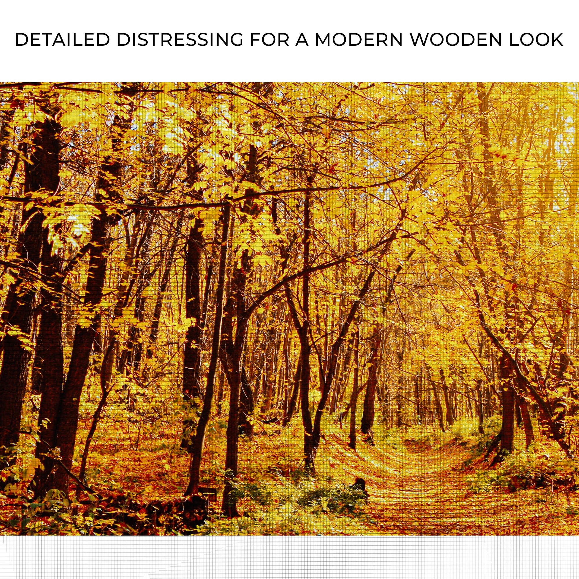 Yellow Autumn Forest Canvas Wall Art - Image 4